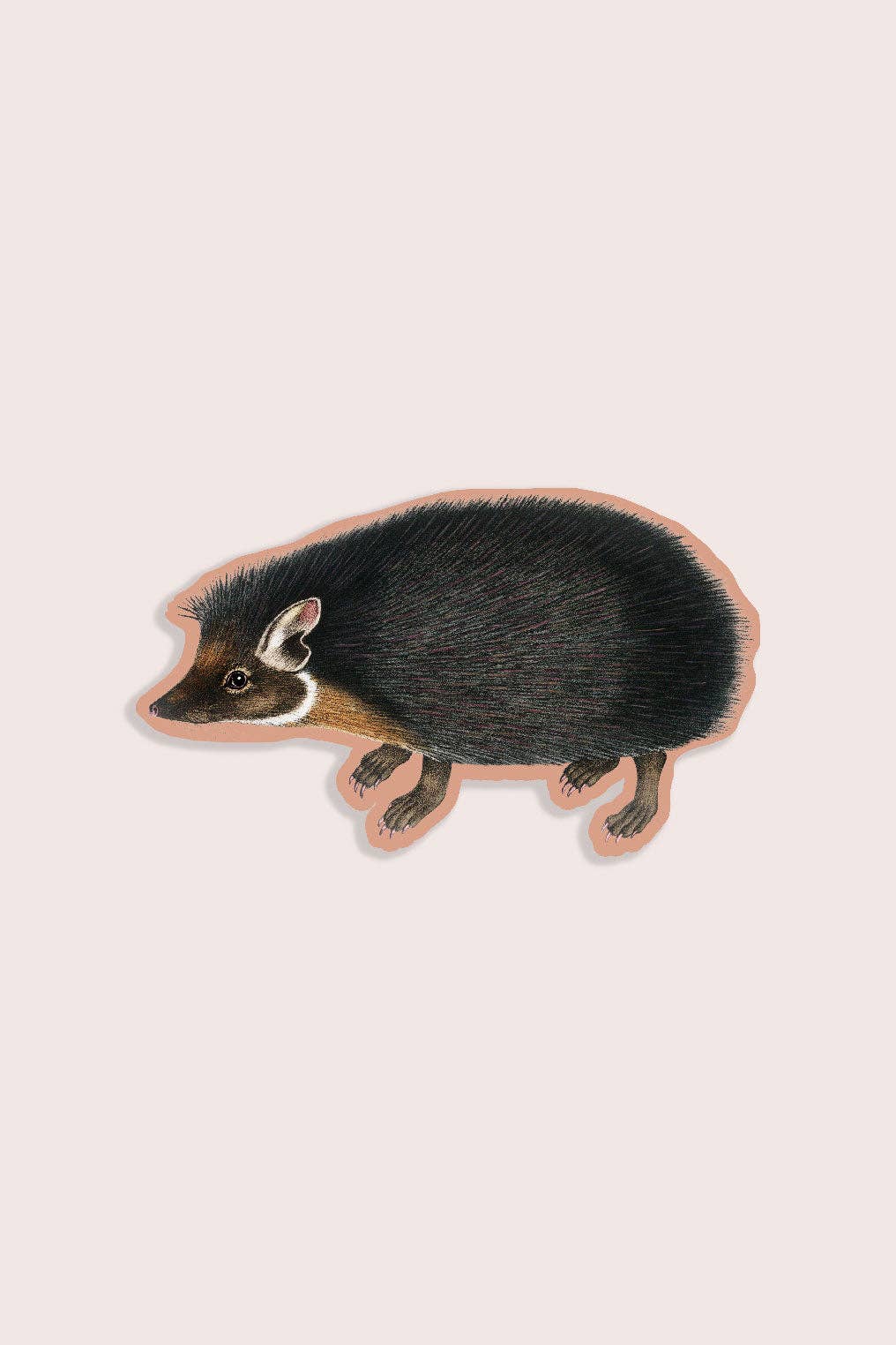 Humble Hedgehog - Gap Filler Sticker - Proper