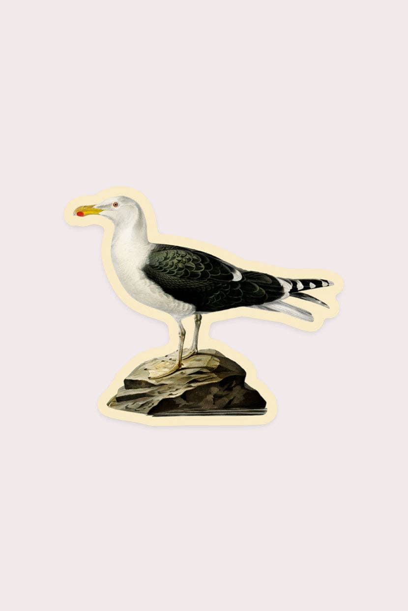 Dismayed Gull - Gap Filler Sticker - Proper