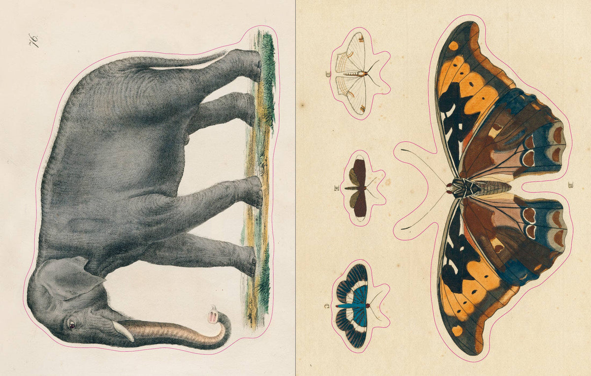 John Derian Sticker Book - Proper