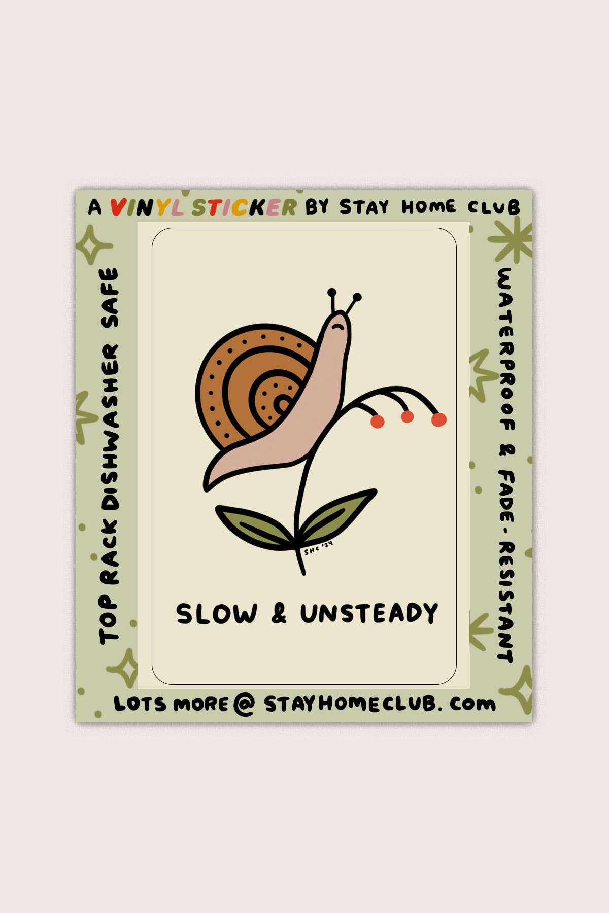 Slow and Unsteady Vinyl Sticker
