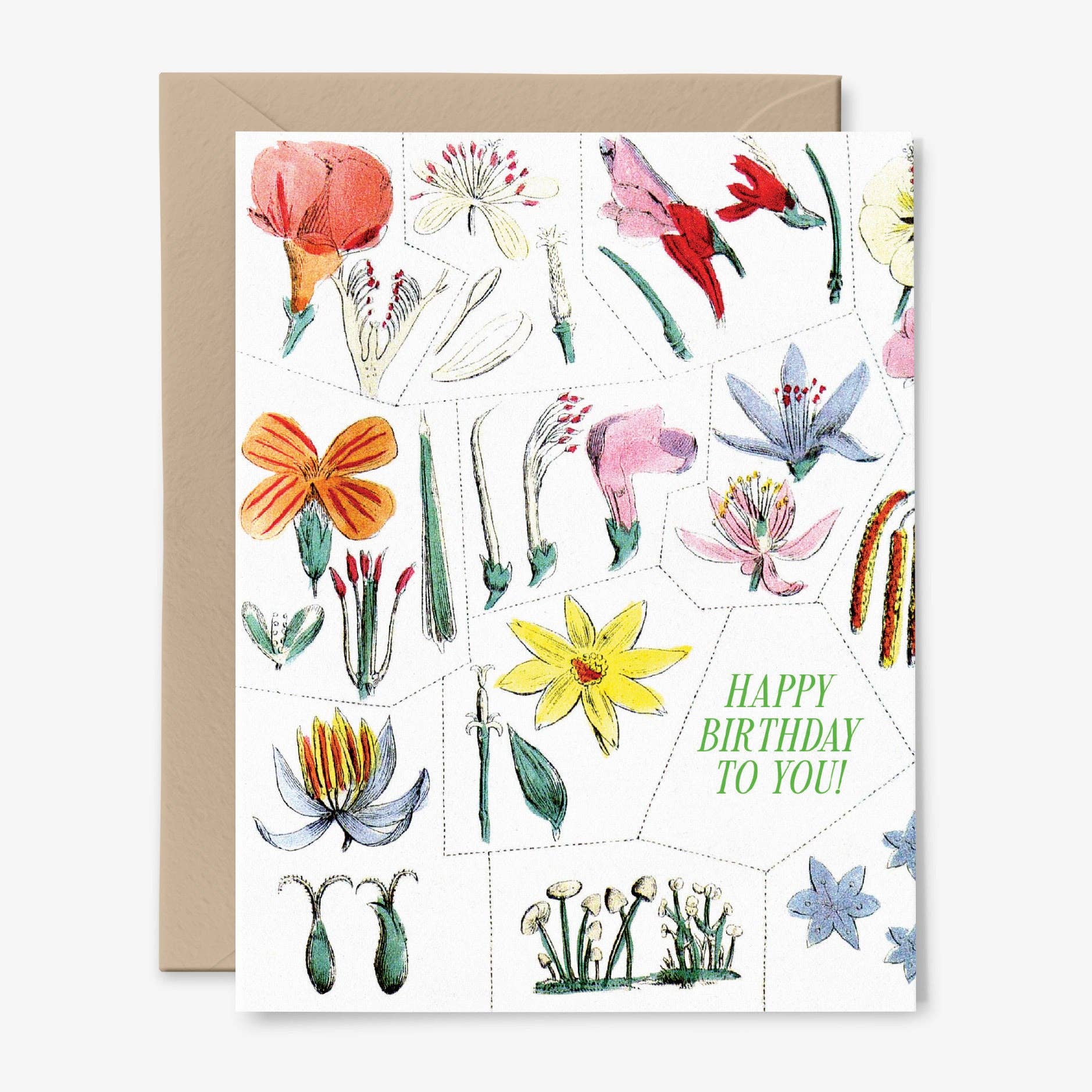 Happy Birthday To You! - Floral Birthday Card - Proper