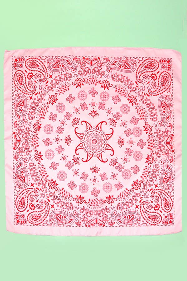 Pink Paisley Scarf - Proper