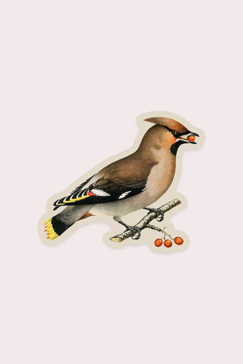 Wary Waxwing - Gap Filler Sticker - Proper