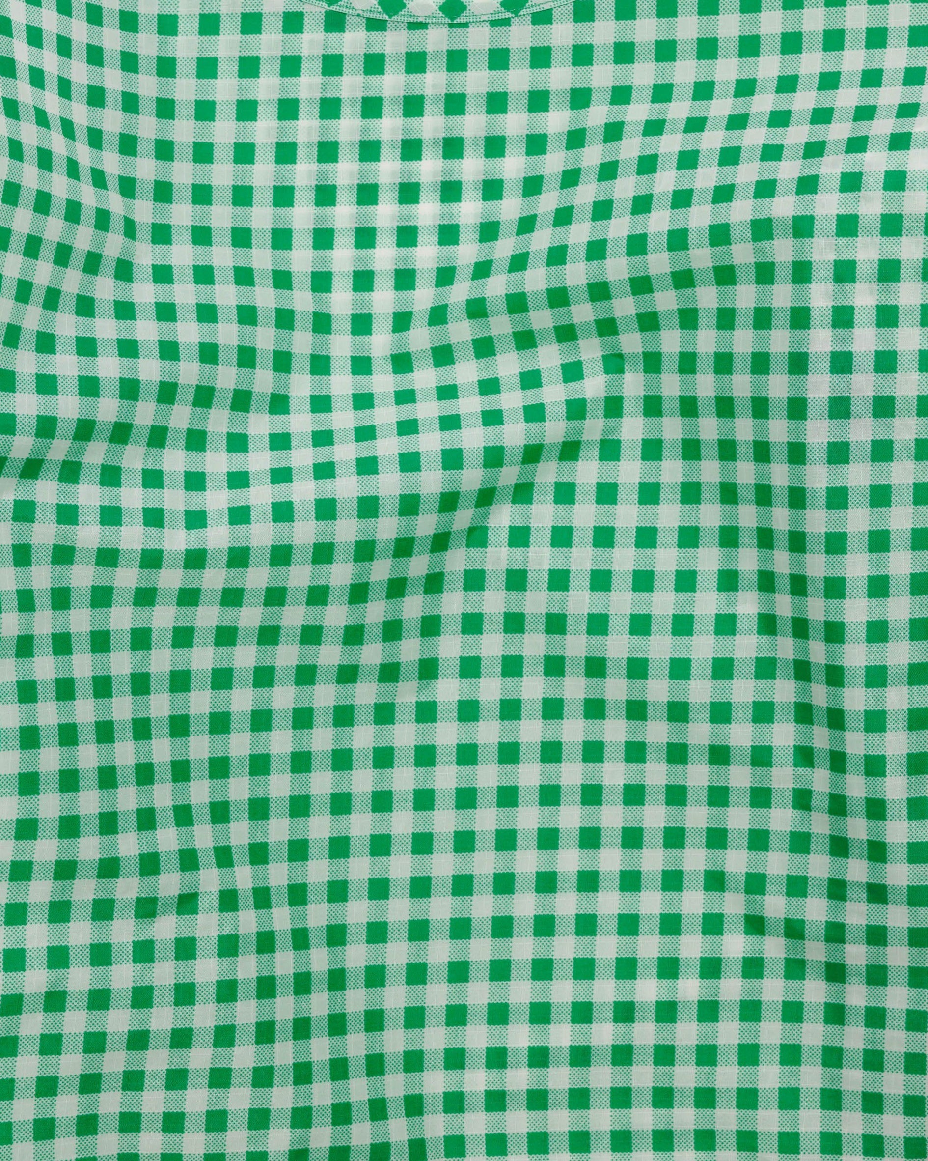 Standard Baggu - Green Gingham - Proper