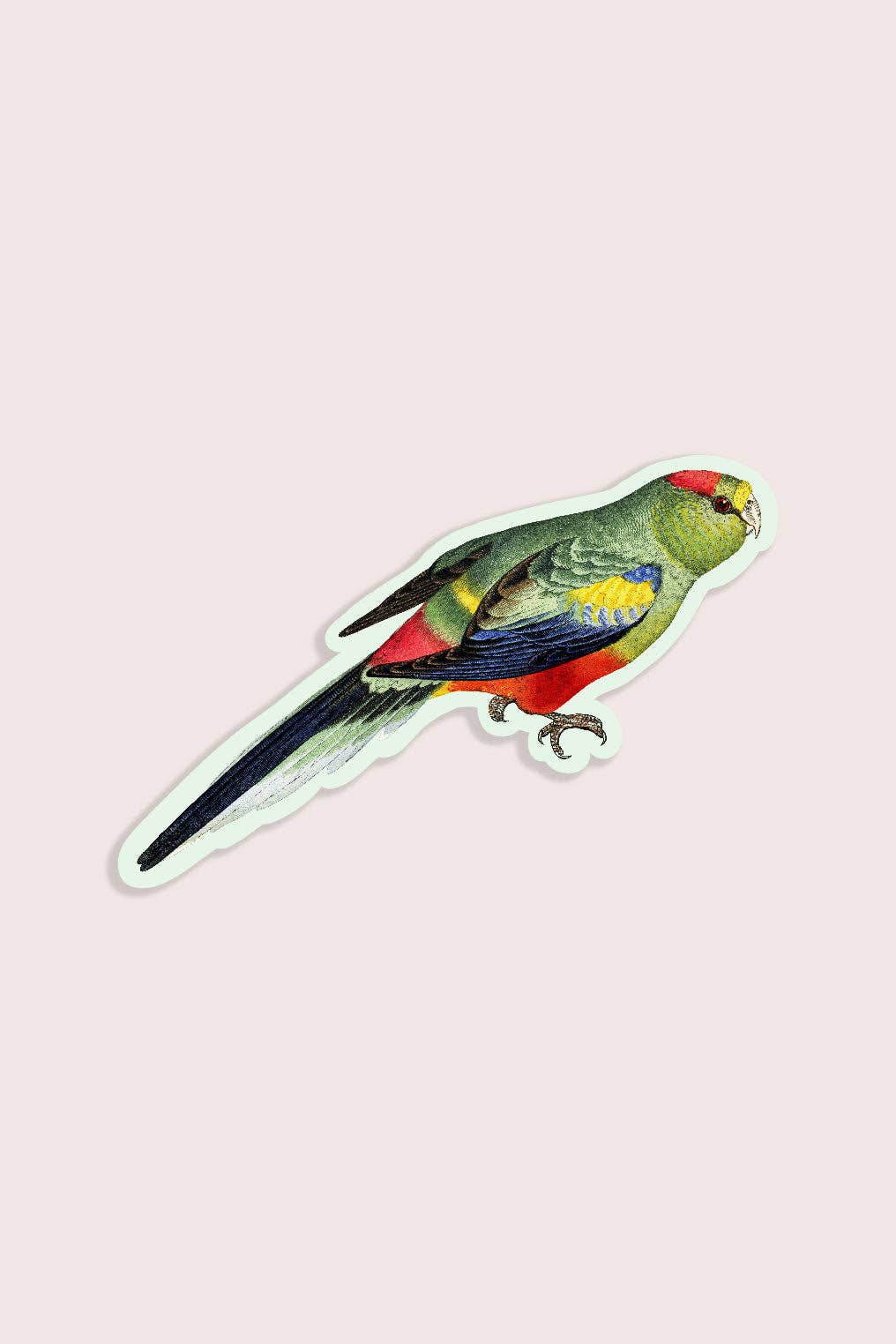 Petulant Parakeet - Gap Filler Sticker - Proper