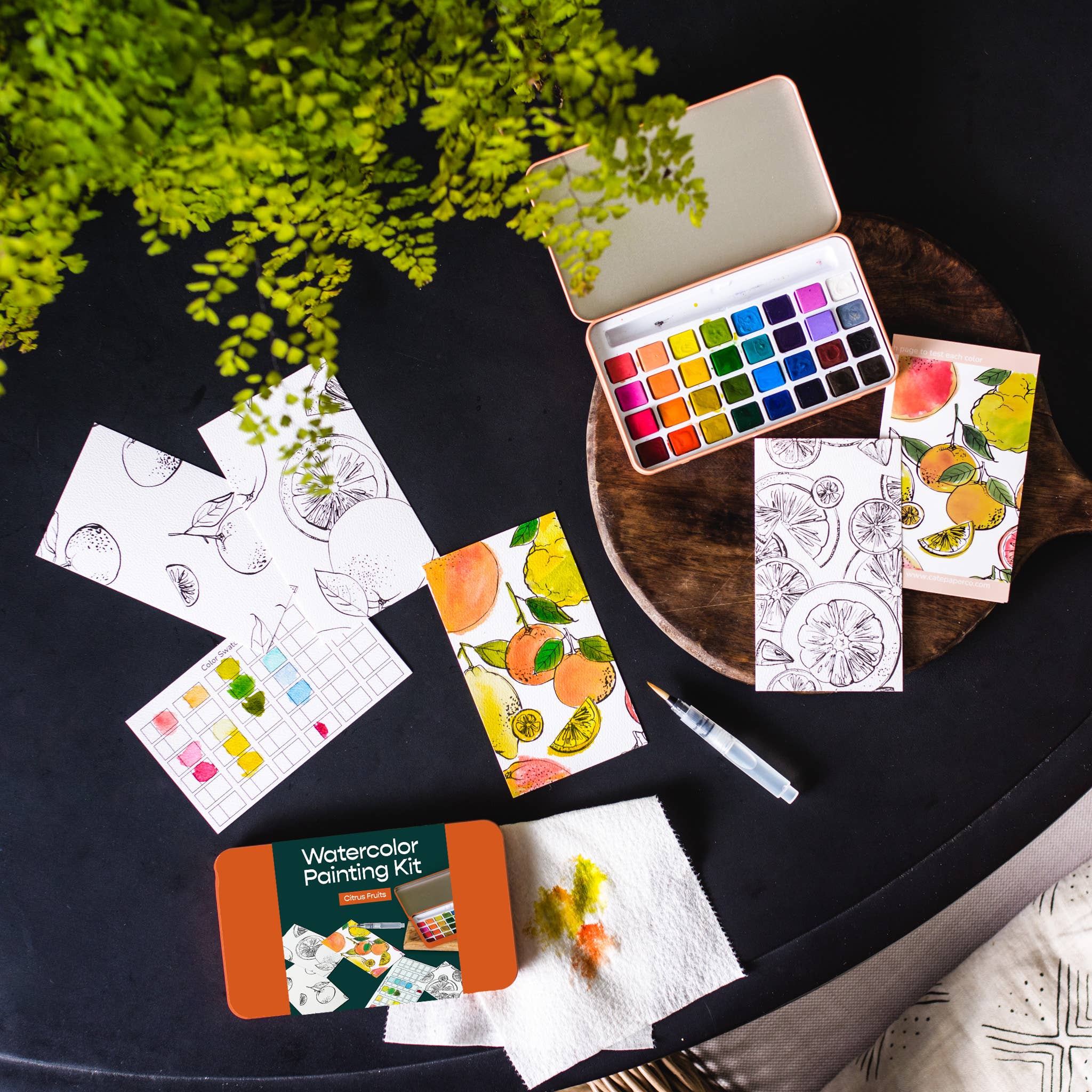 Citrus Fruits Watercolor Painting Kit - Proper