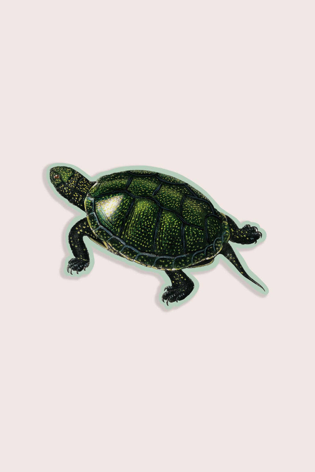 Total Turtle - Gap Filler Sticker - Proper