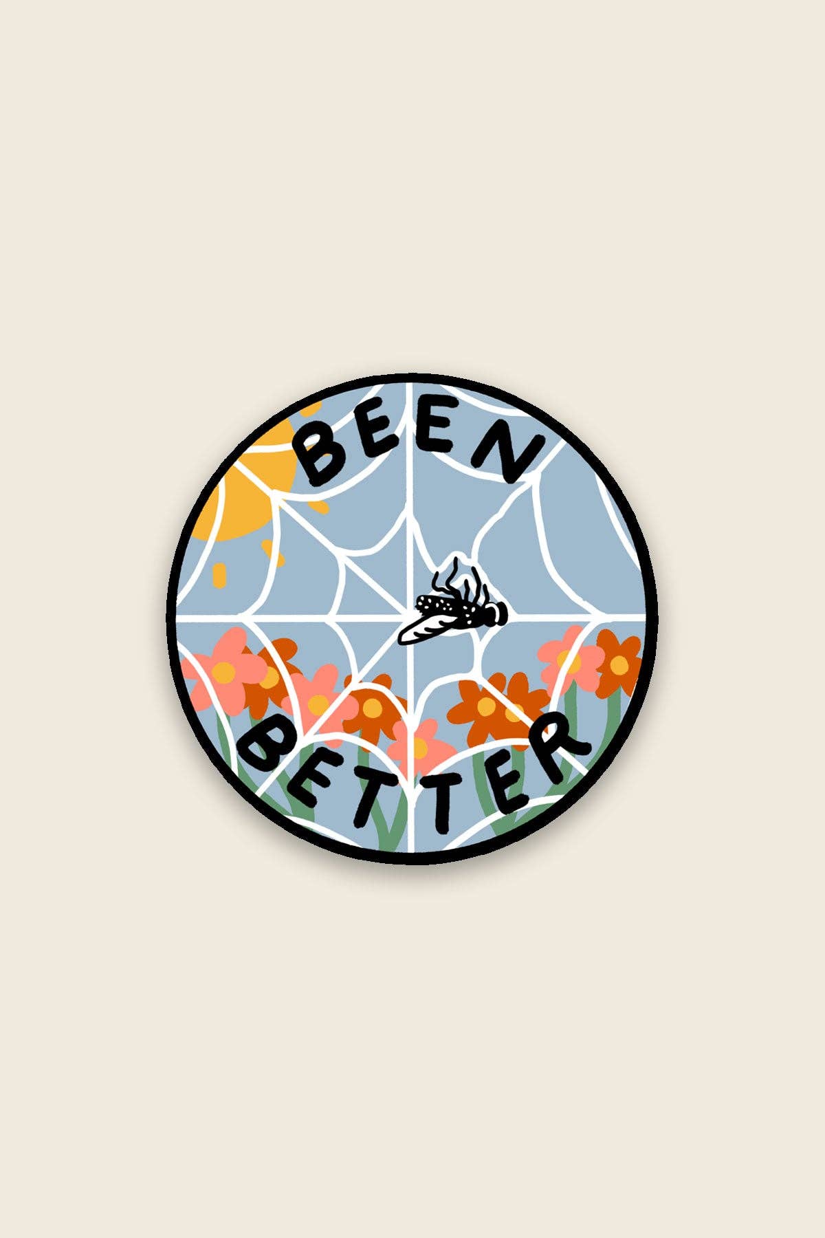 Been Better (Spiderweb) | Waterproof Vinyl Sticker - Proper