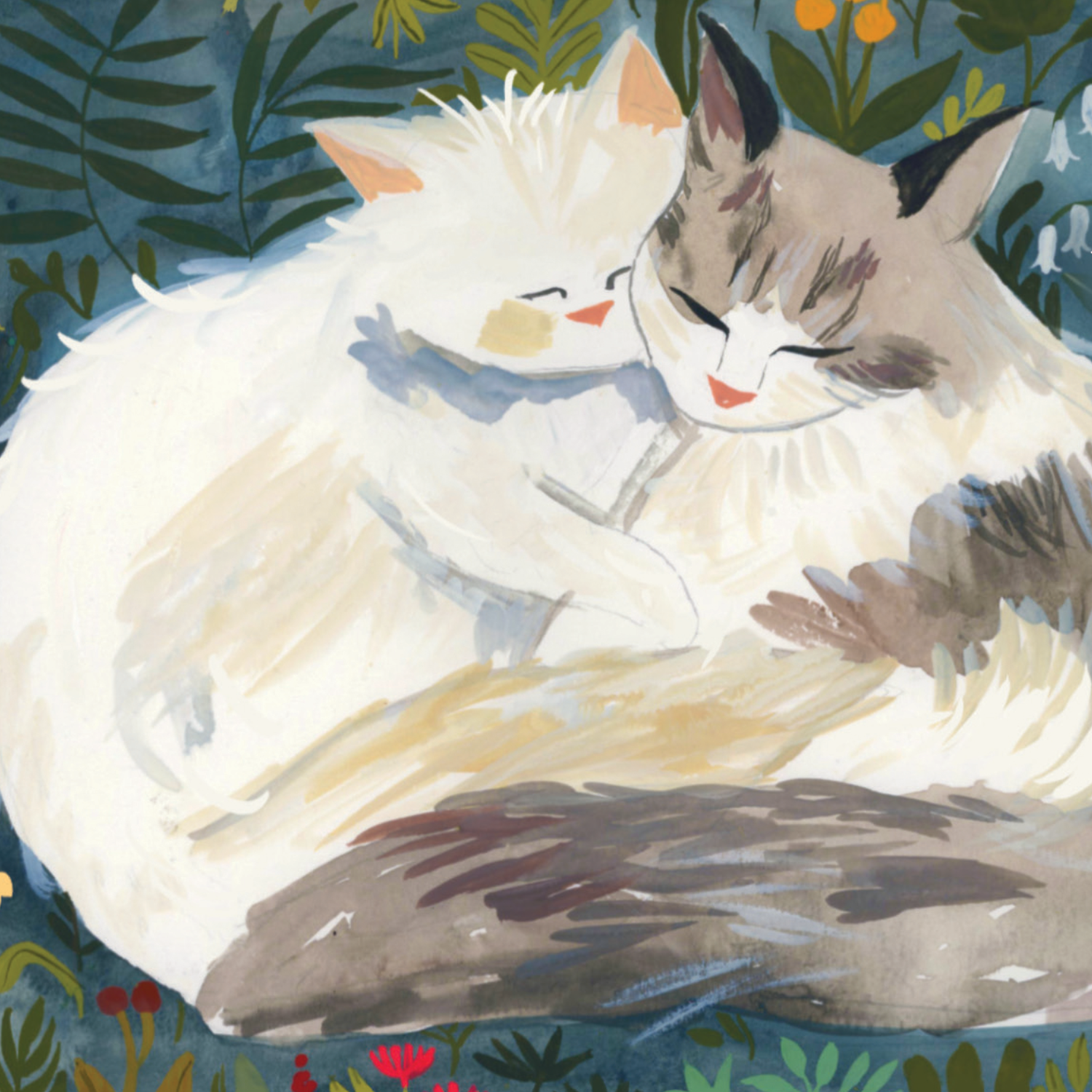 I Like You Greeting Card - Proper