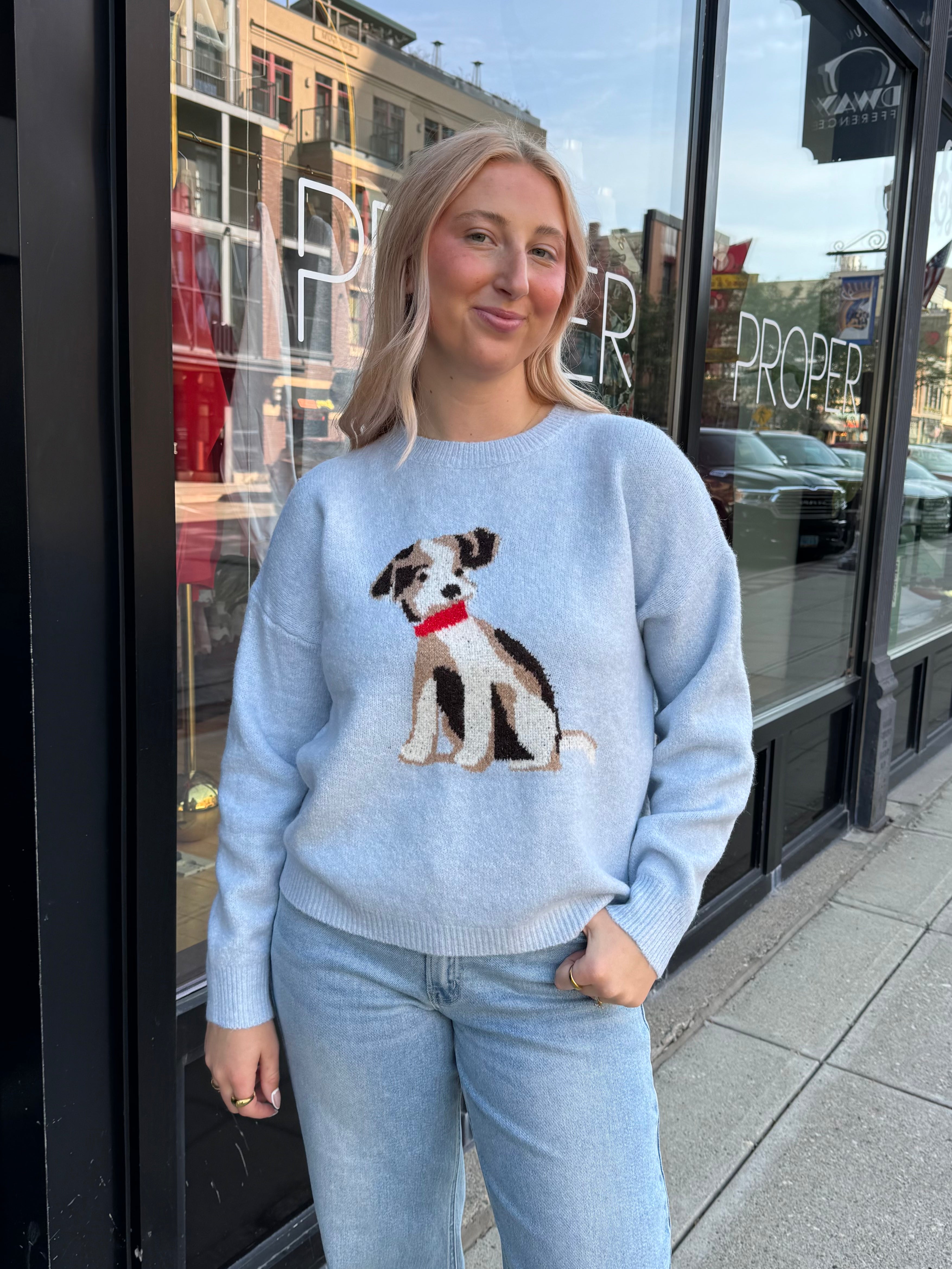 Dog Sweater - Proper
