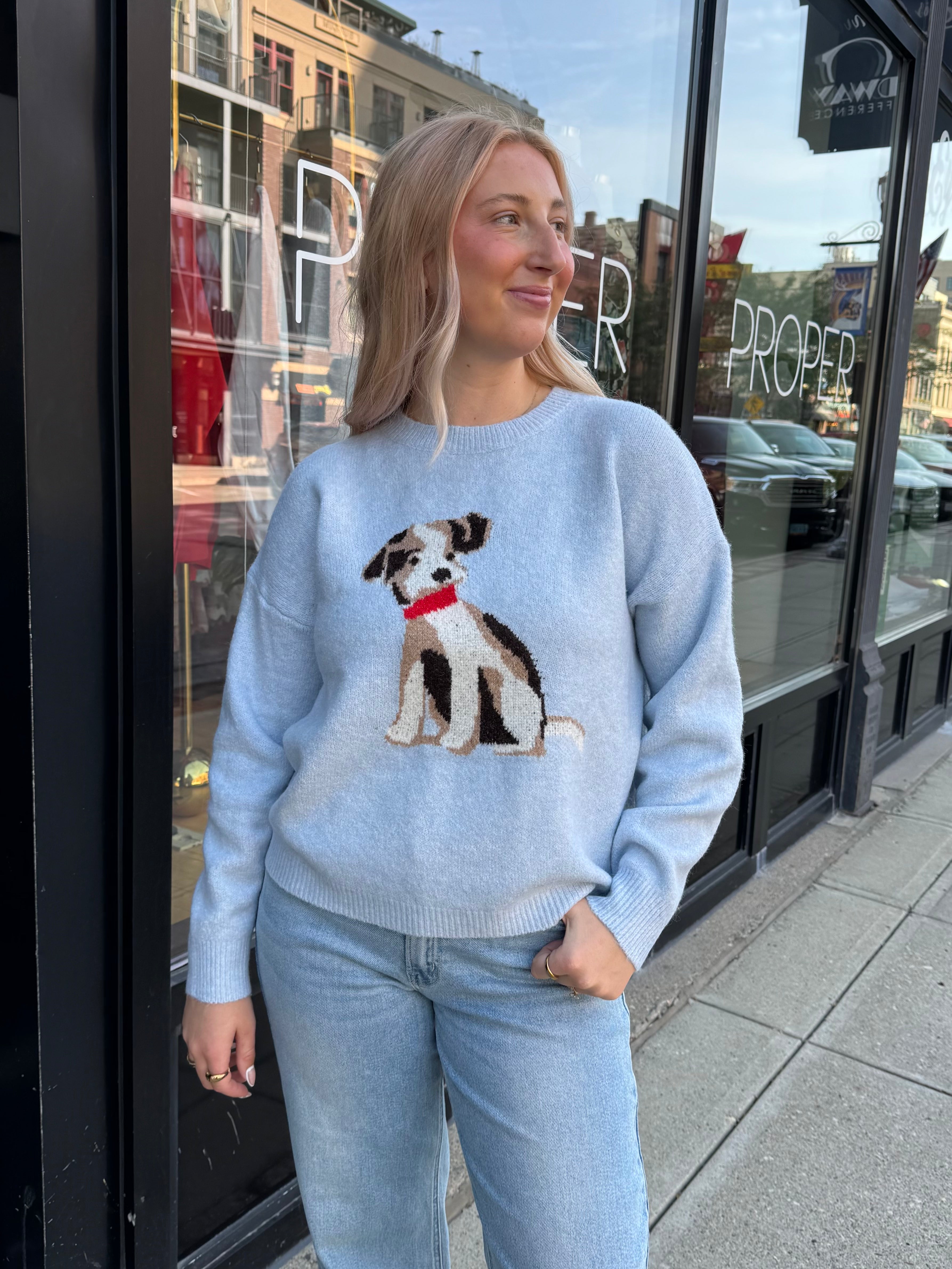 Dog Sweater - Proper