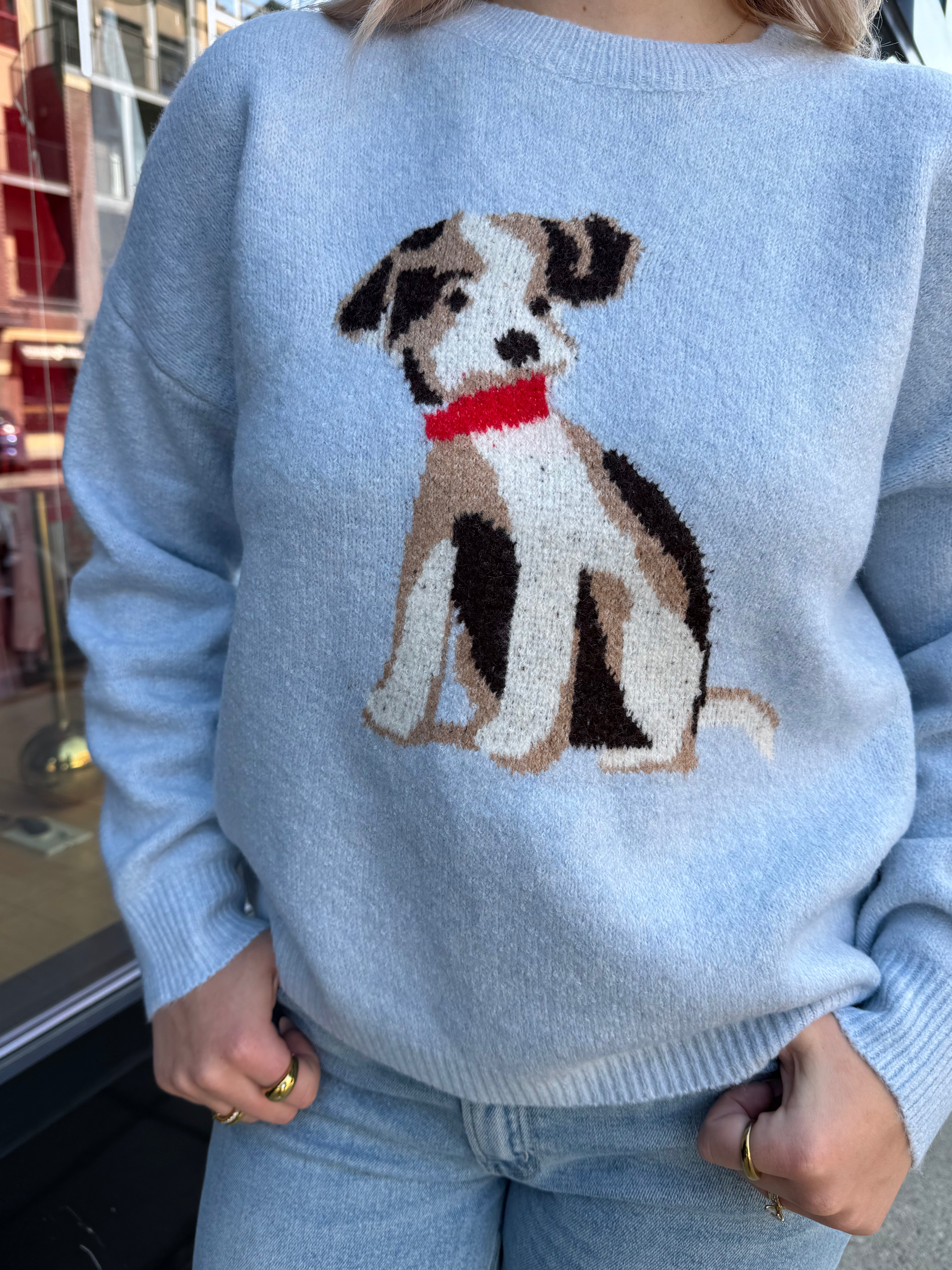 Dog Sweater - Proper