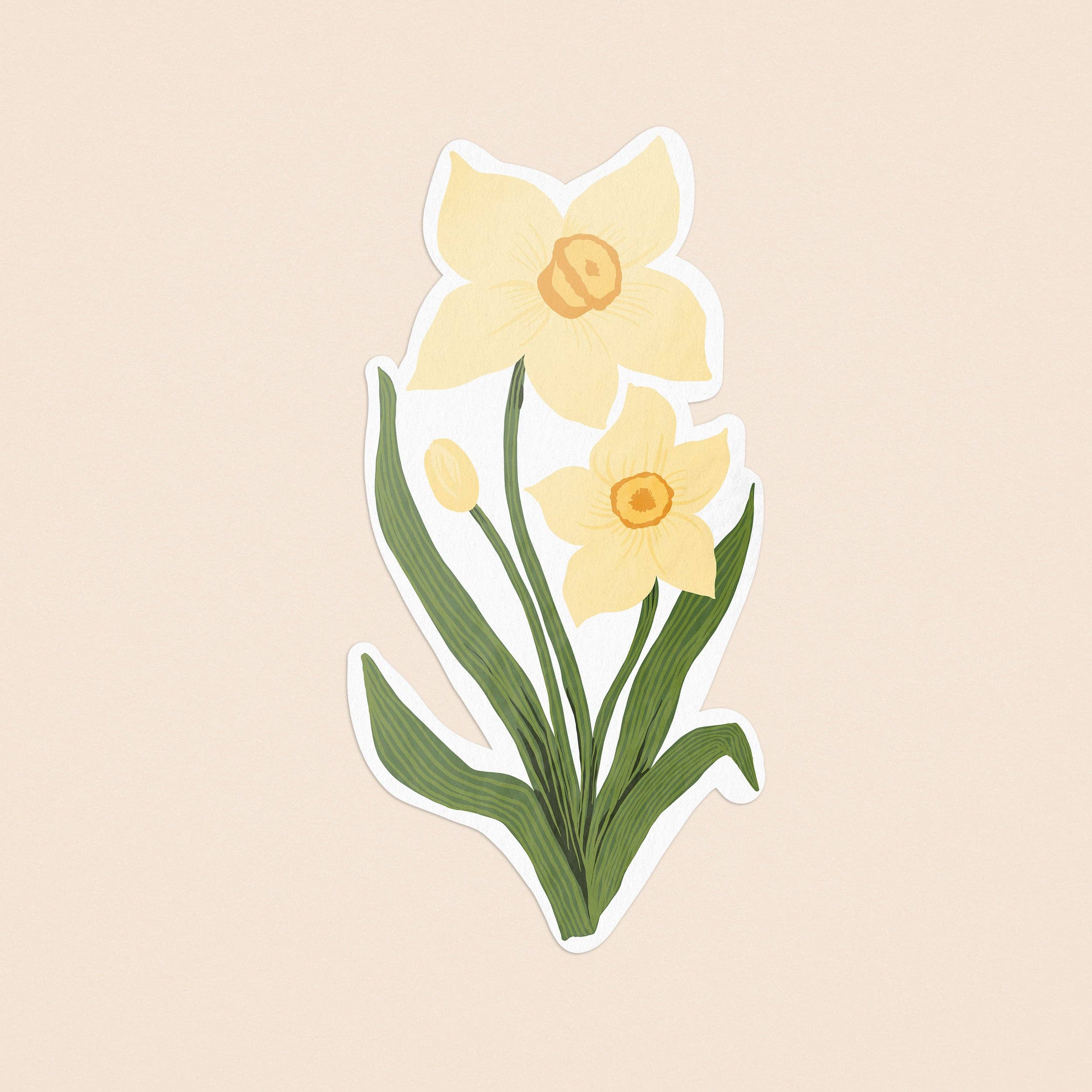Daffodils Illustrated Sticker - Proper