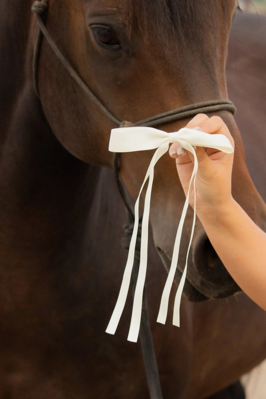 Satin Ribbon Long Bow Clip - Proper