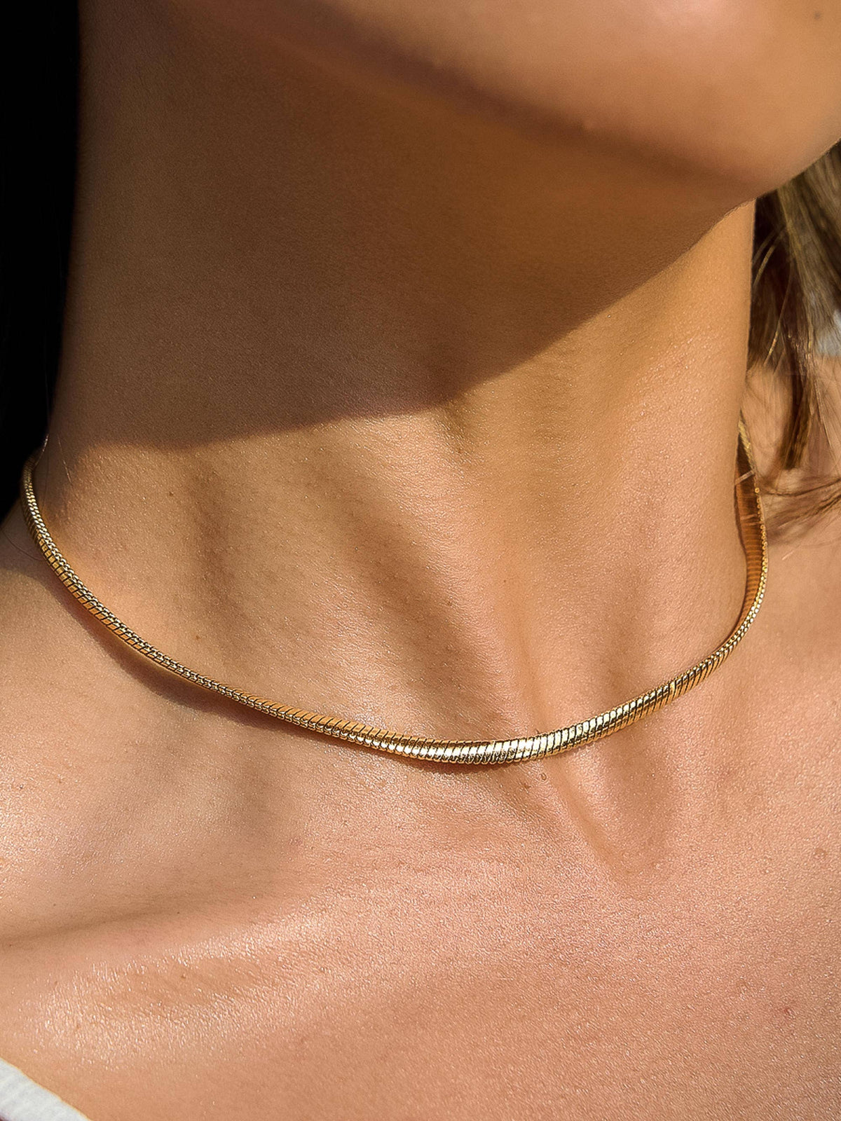 Papillon Snake Chain Necklace