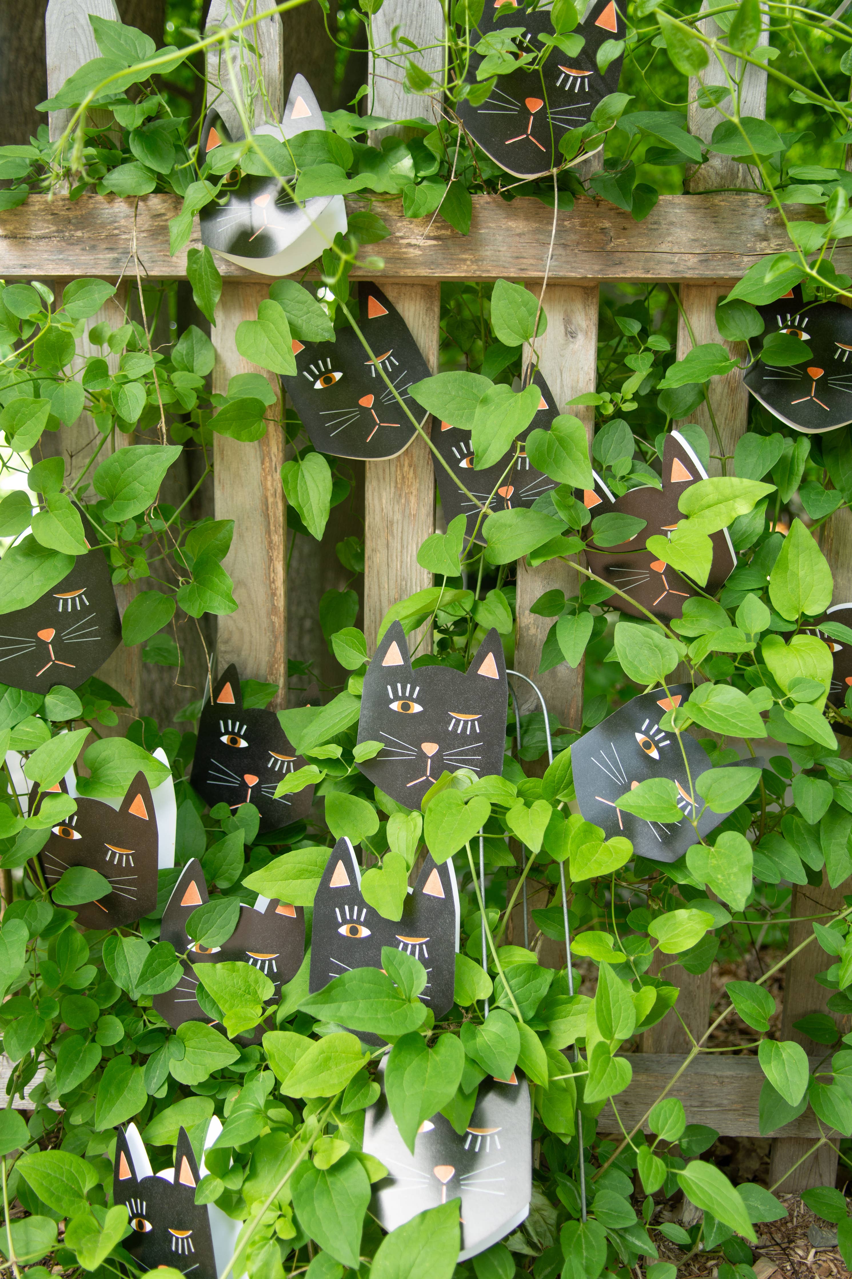 Black Cat Blink Die Cut Card - Proper