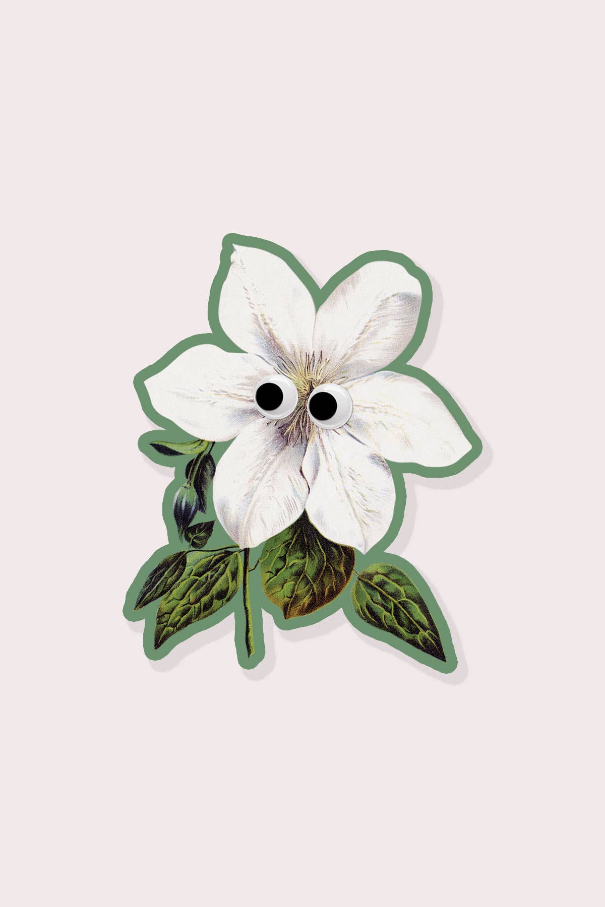 Googly Clematis Vinyl Sticker - Proper