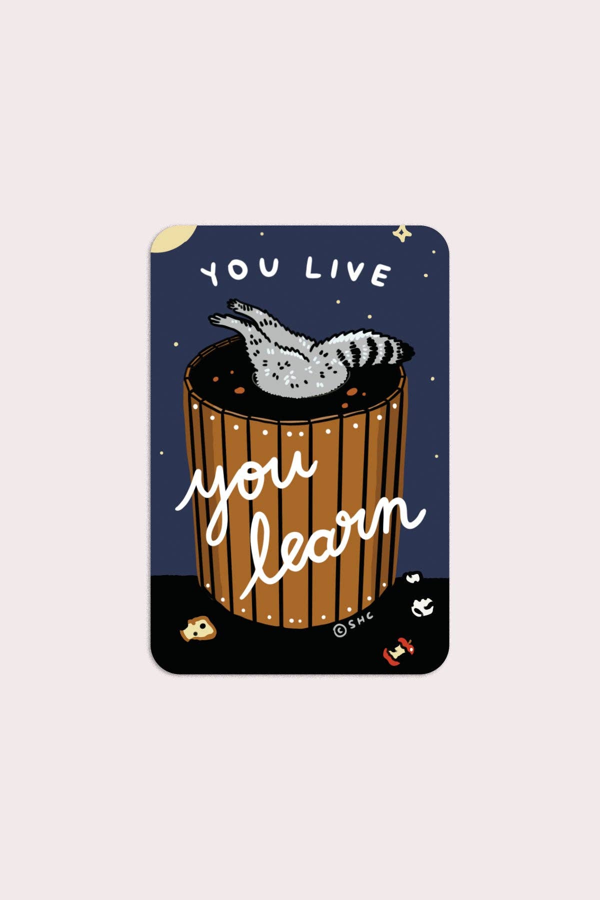 You Live You Learn Vinyl Sticker - Proper
