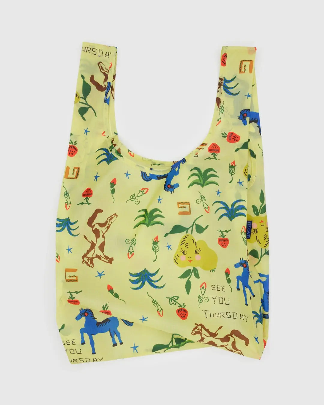 Standard Baggu - Painted Prairie - Proper