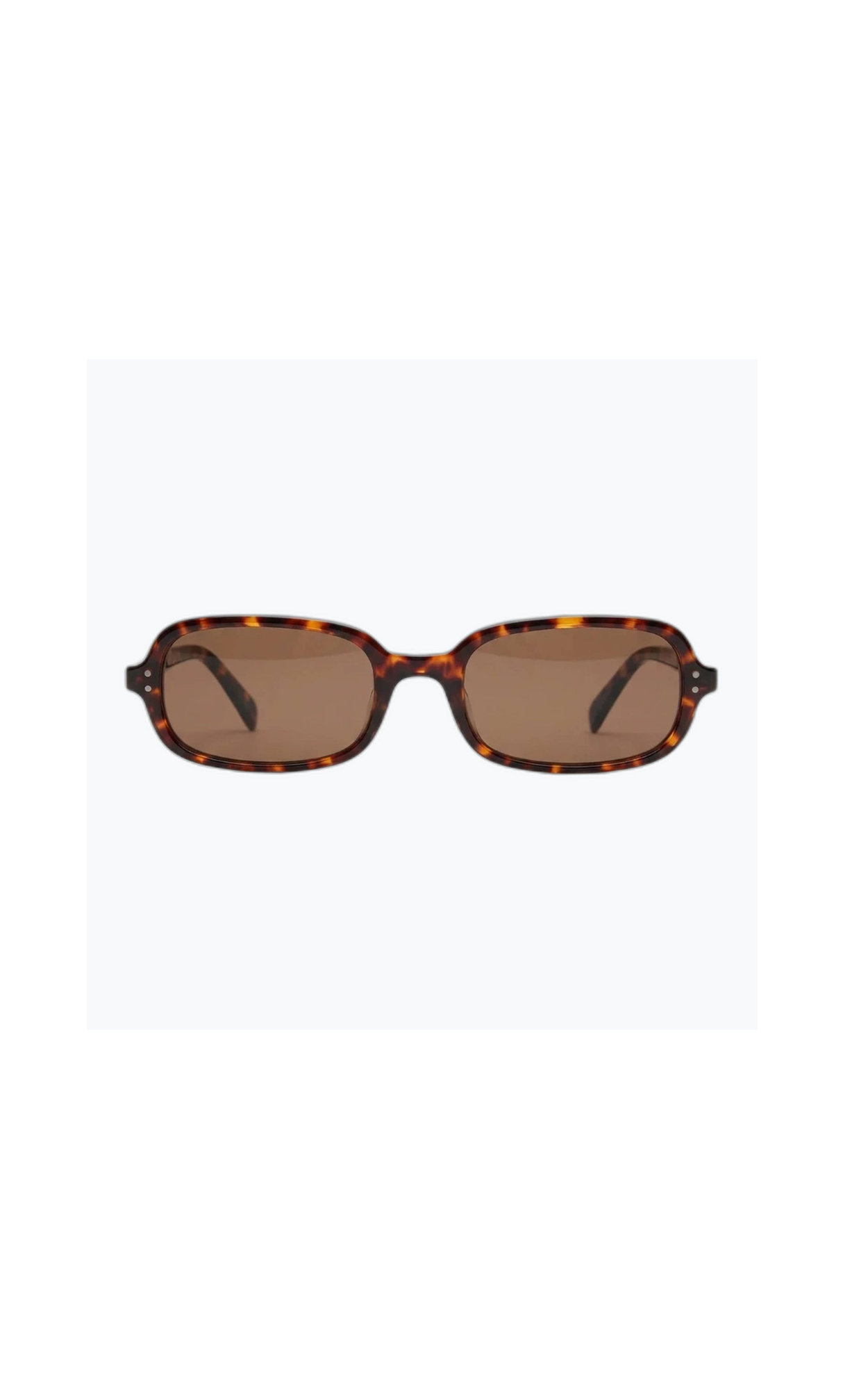 Palm State Sunglasses