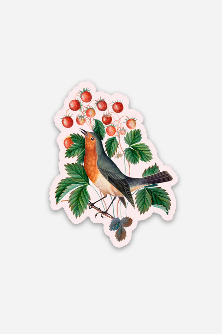 Determined Robin - Gap Filler Sticker - Proper