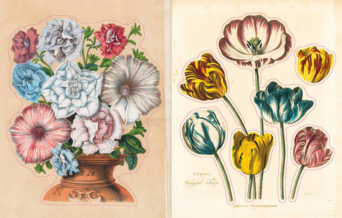 John Derian Sticker Book - Proper
