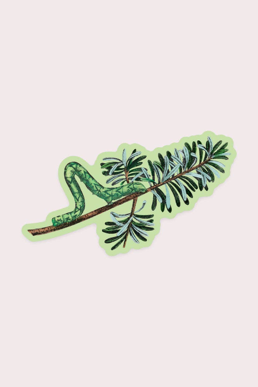 Careful Inchworm - Gap Filler Sticker - Proper