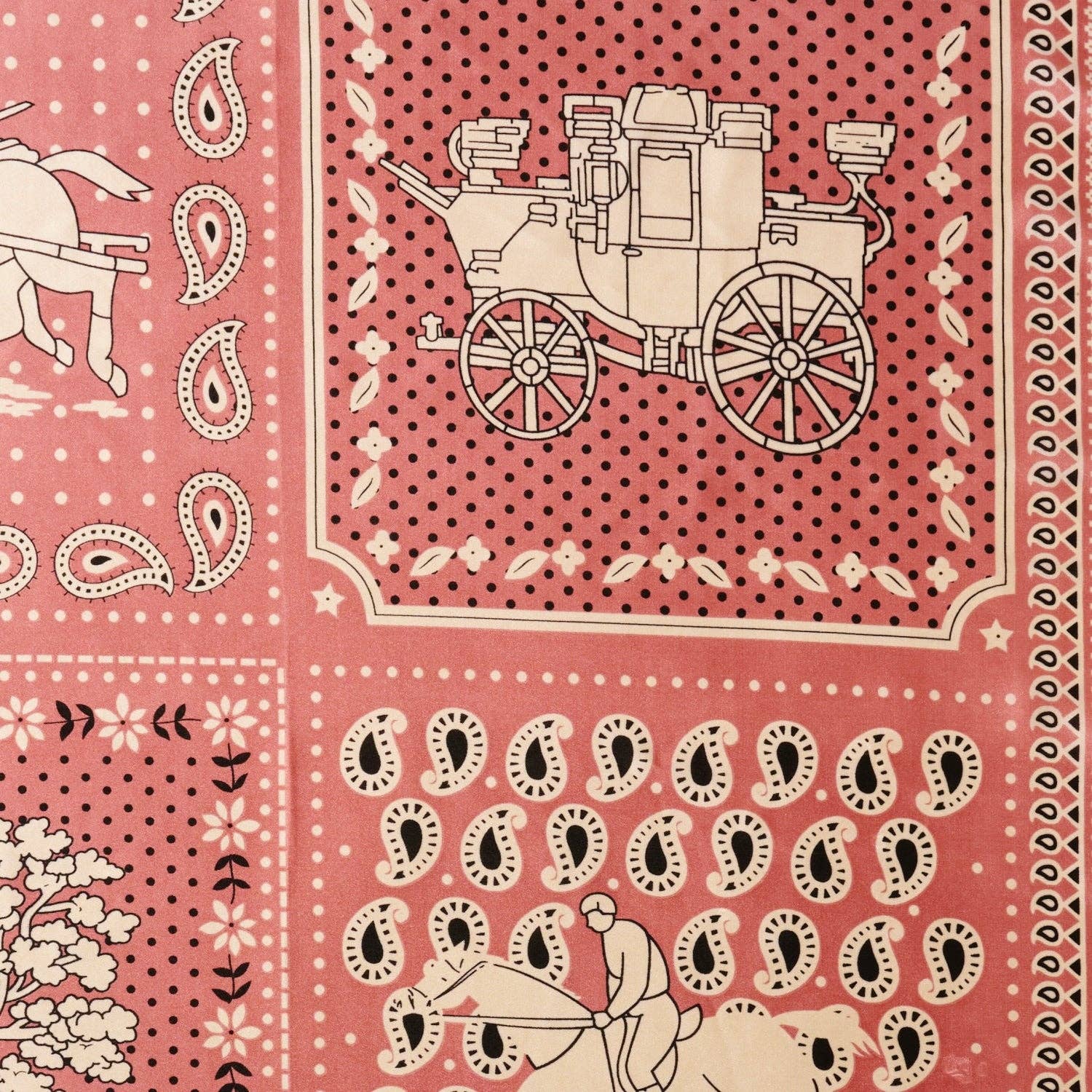Western-Inspired Paisley Print Scarf - Proper