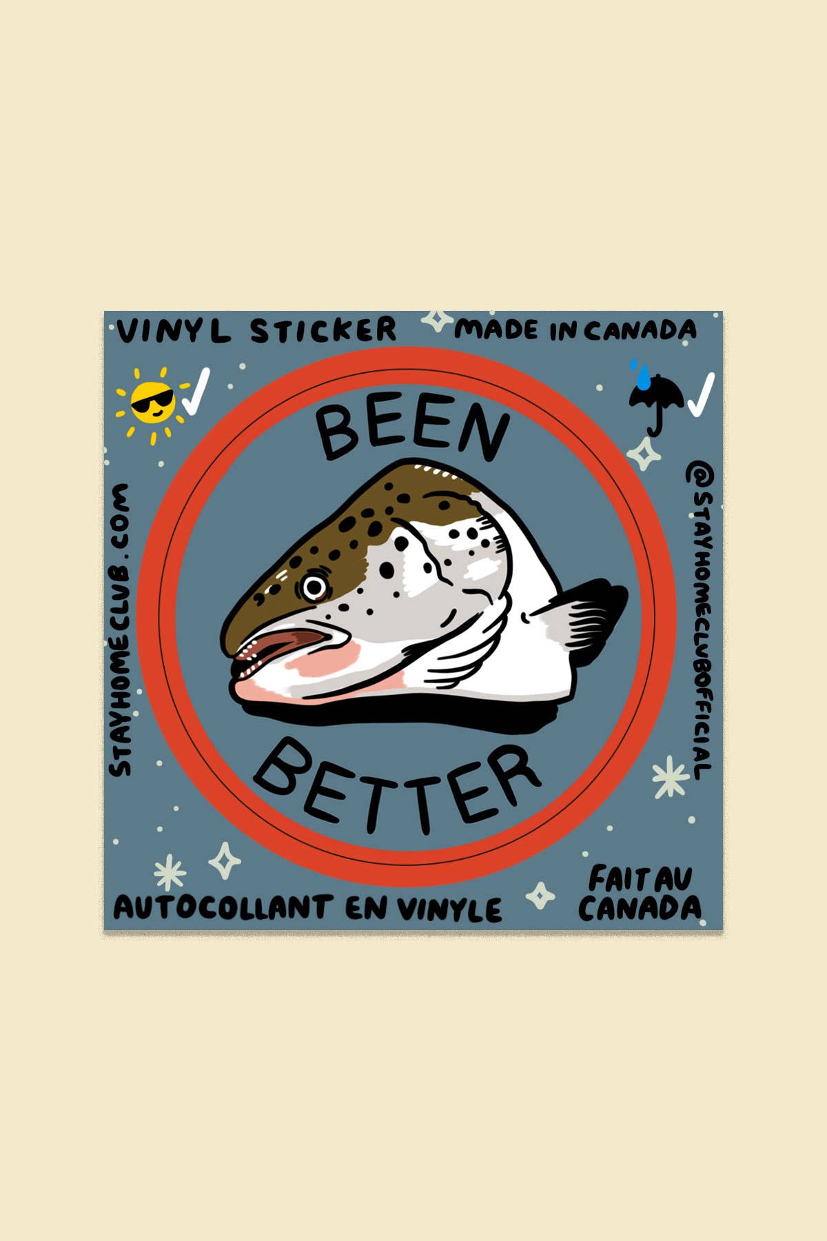Been Better (Fish) Sticker | Waterproof Vinyl - Proper