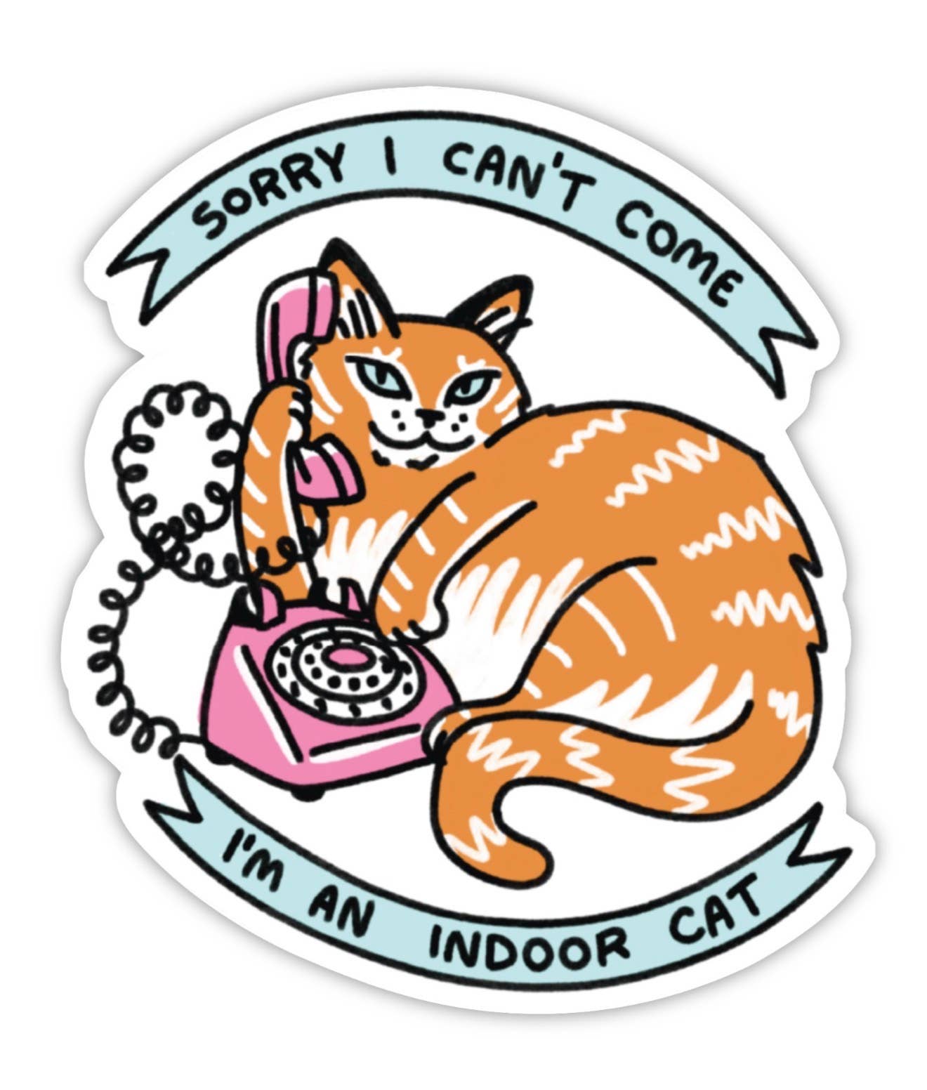 Indoor Cat Sticker – Funny Cat - Proper
