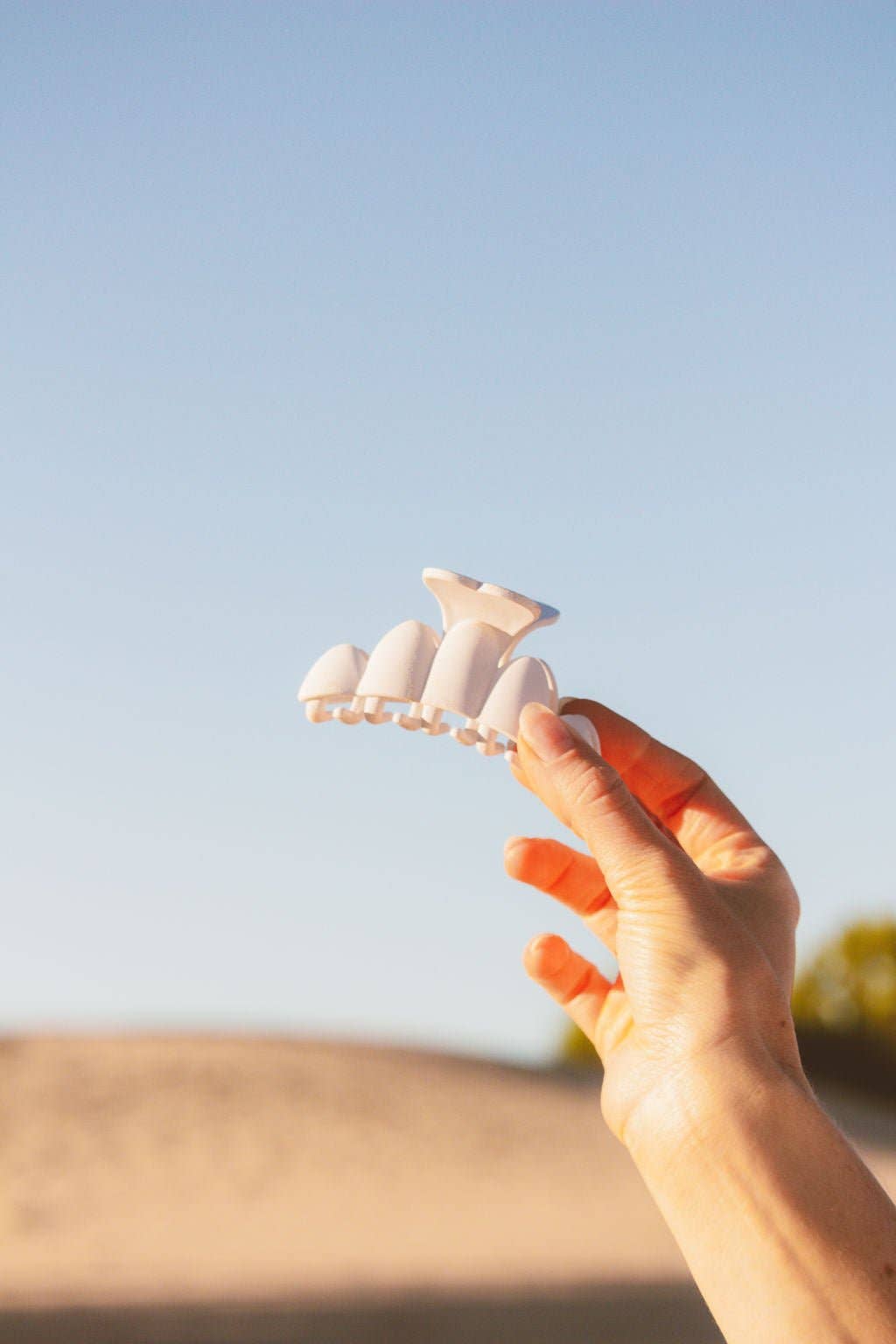 Scalloped Matte Claw Clip - Proper