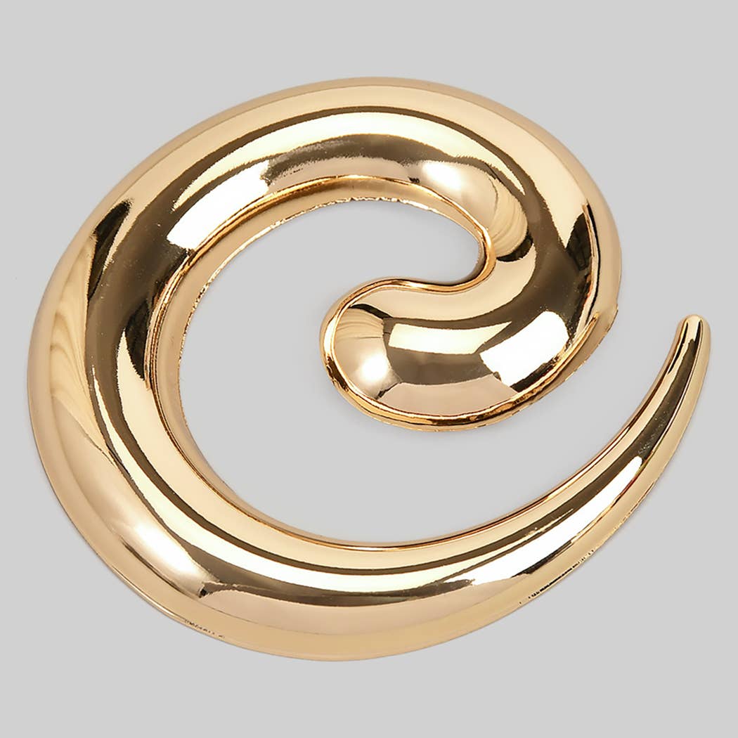 Spiral Brooch