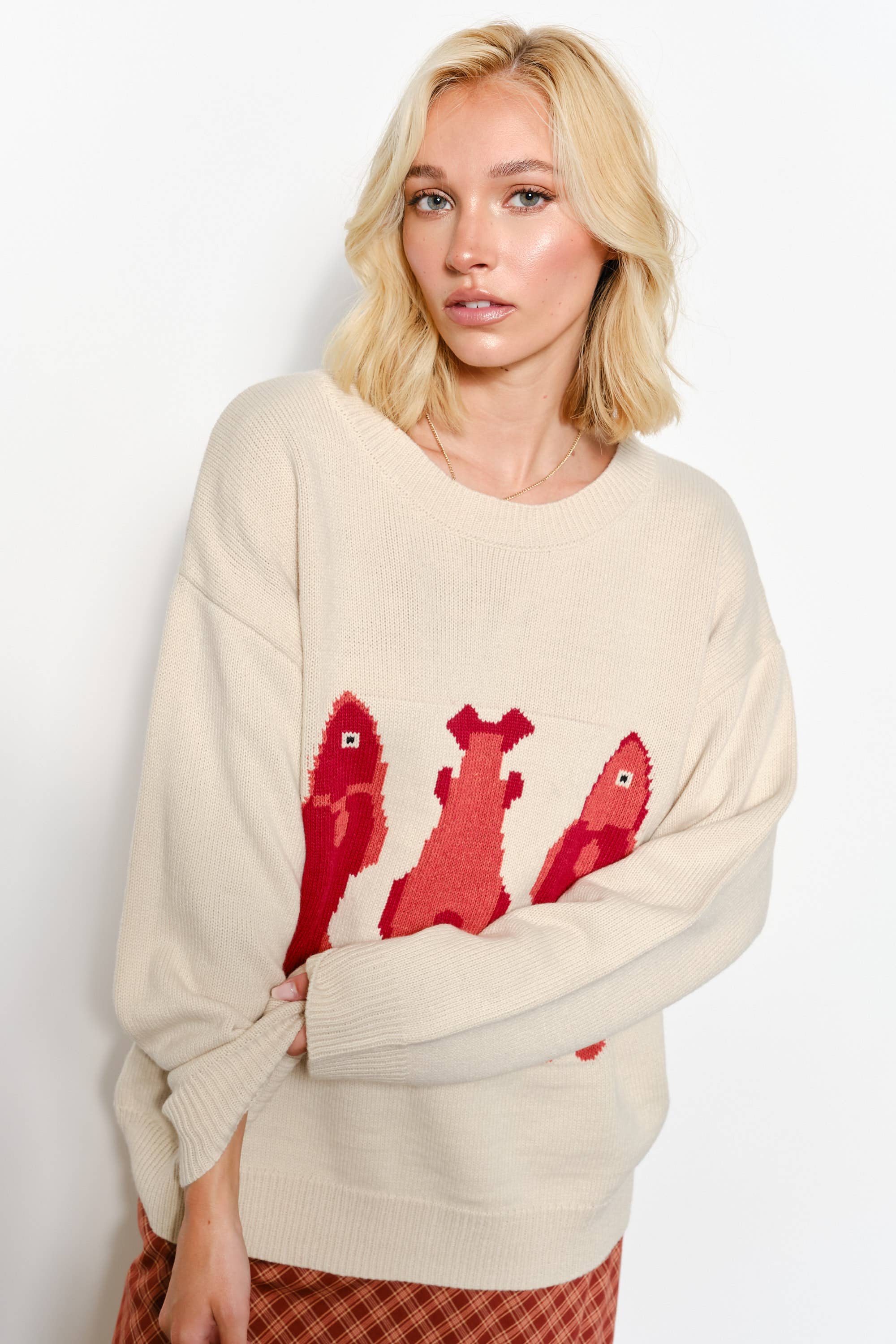 Iggy Fish Sweater