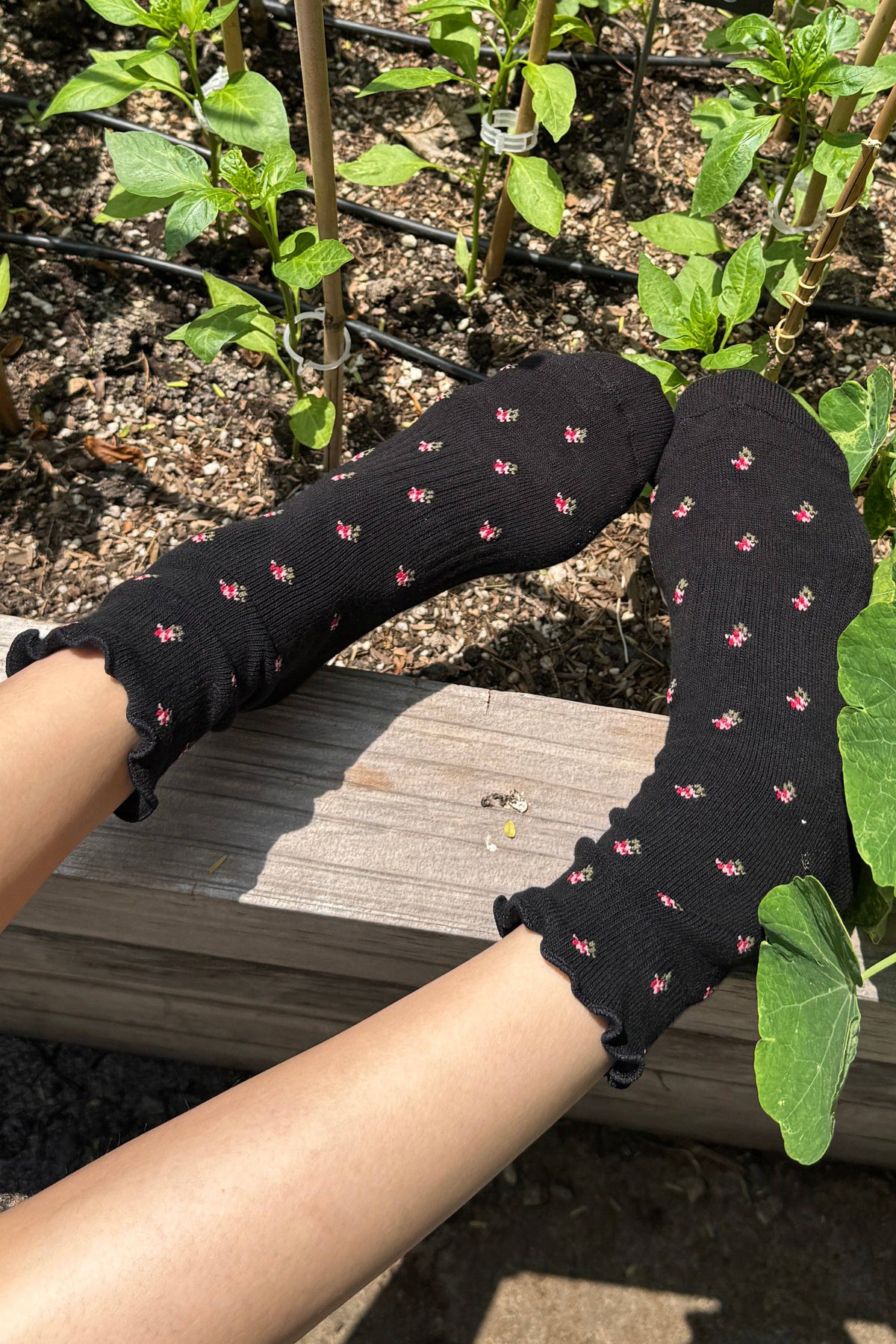 Petal Ruffled Hugger Crew Socks - Proper