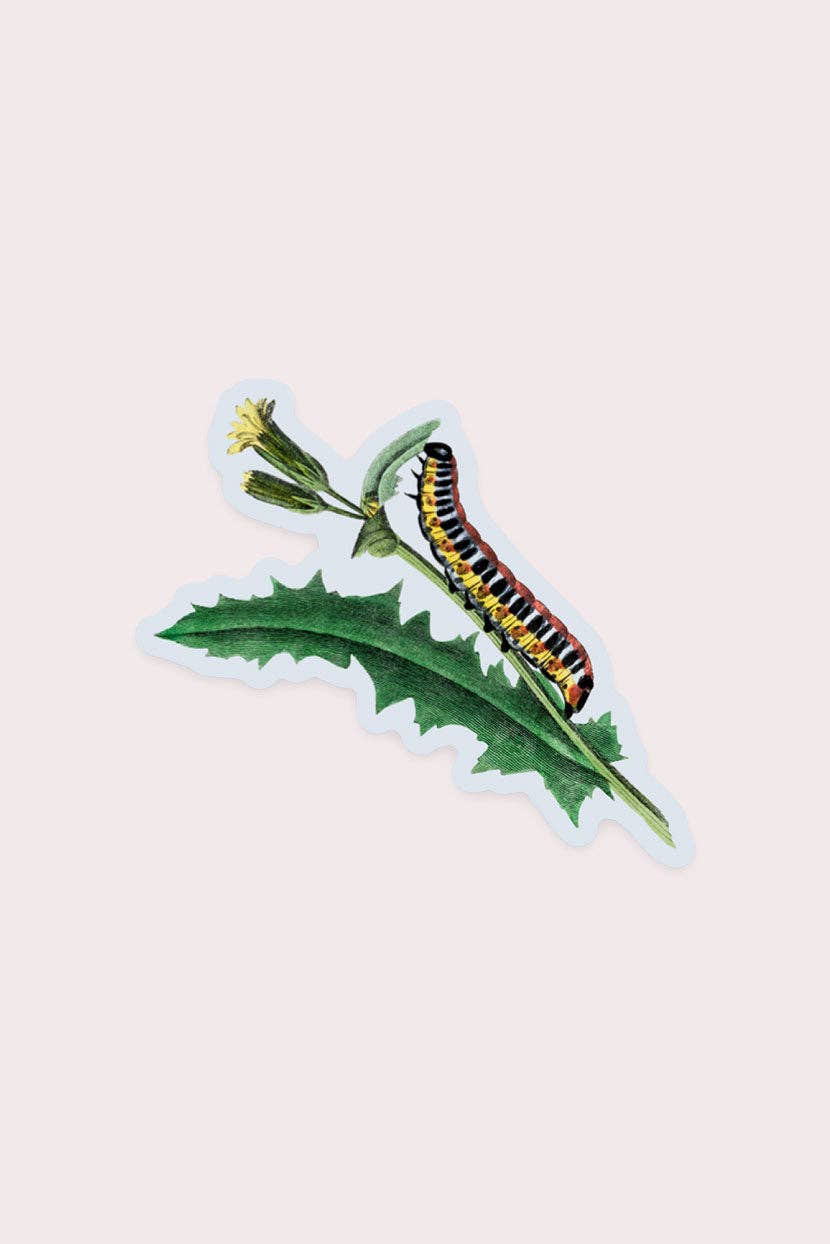 Nosy Caterpillar - Gap Filler Sticker - Proper