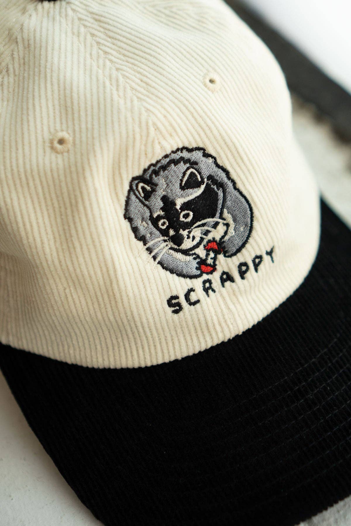 Scrappy Two-Tone Corduroy Hat