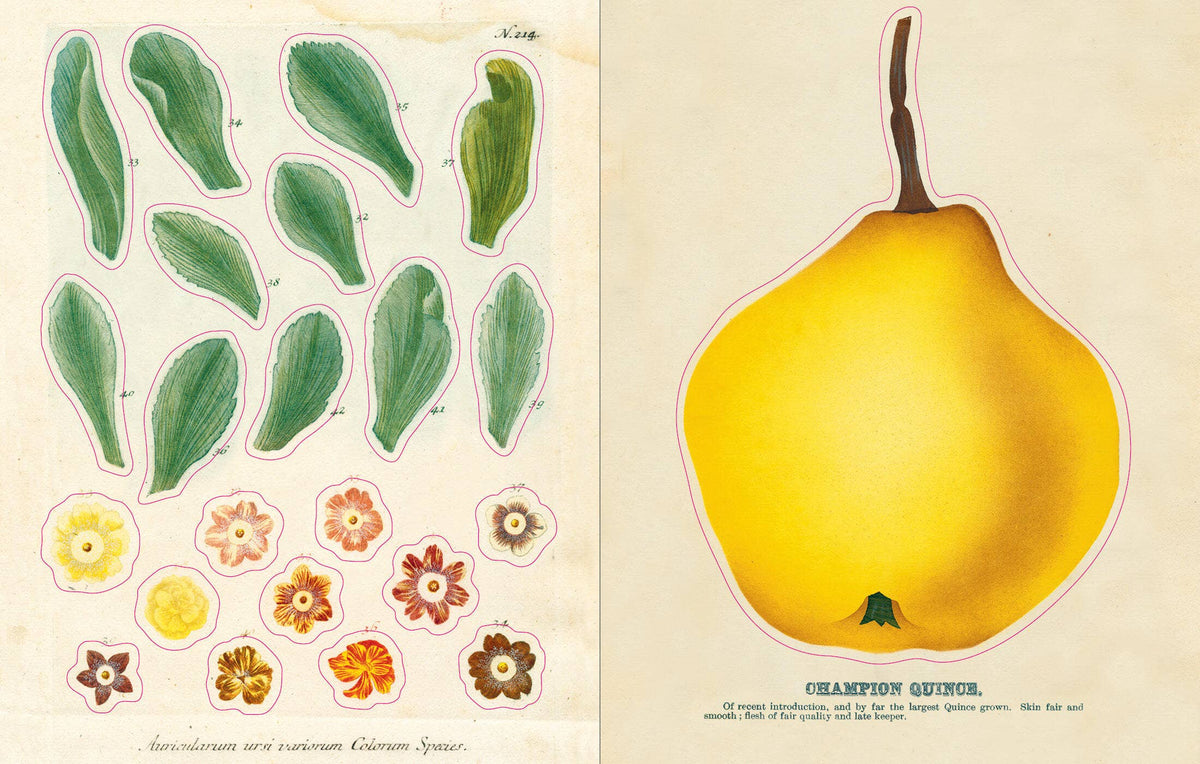 John Derian Sticker Book - Proper