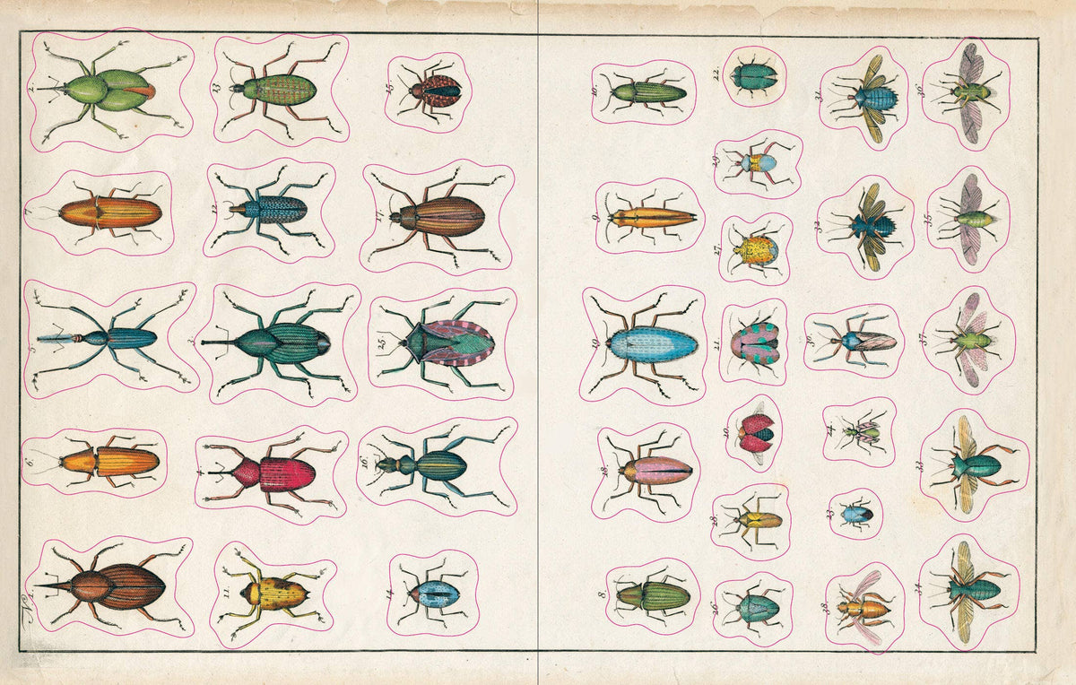 John Derian Sticker Book - Proper