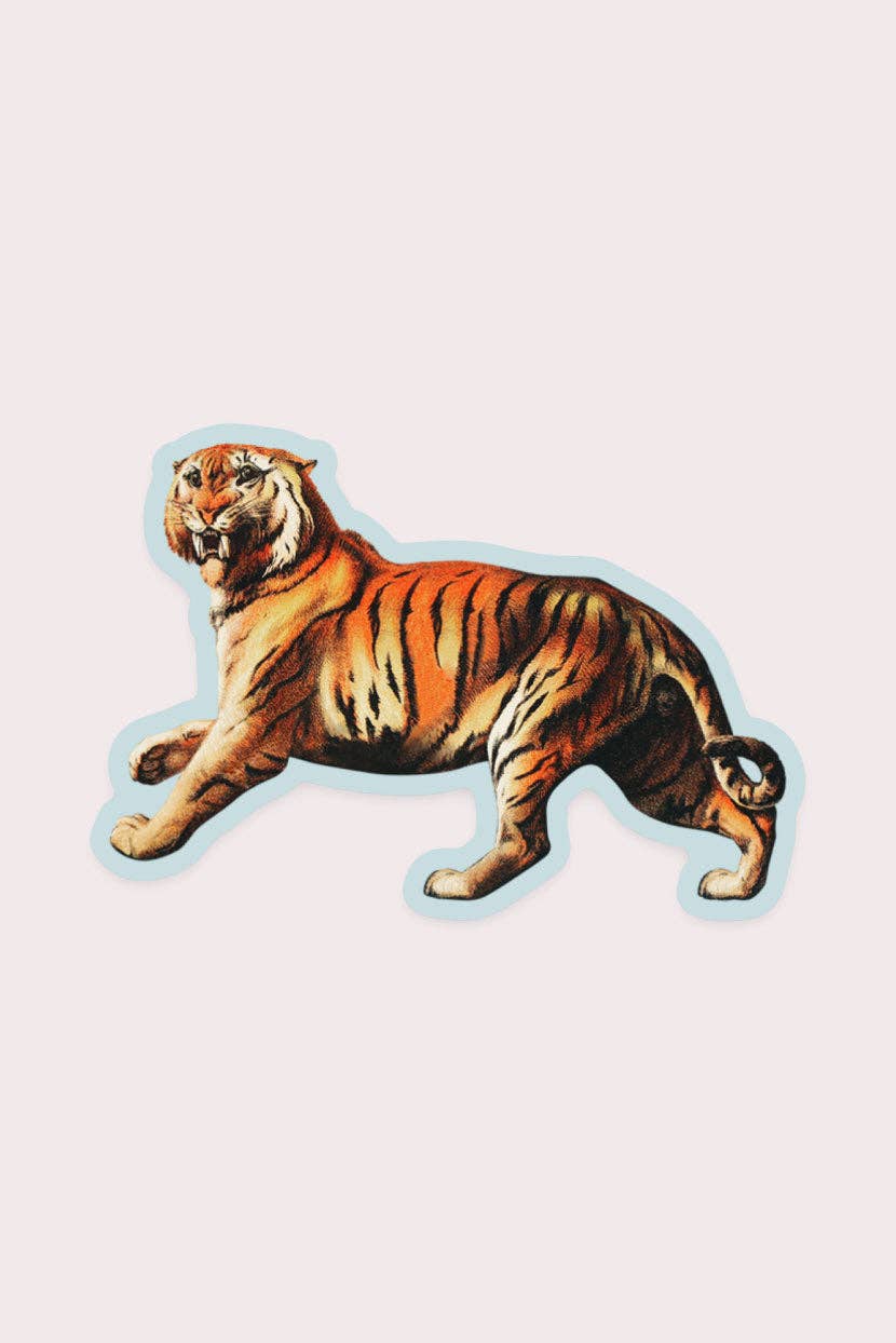 Aghast Tiger - Gap Filler Sticker - Proper