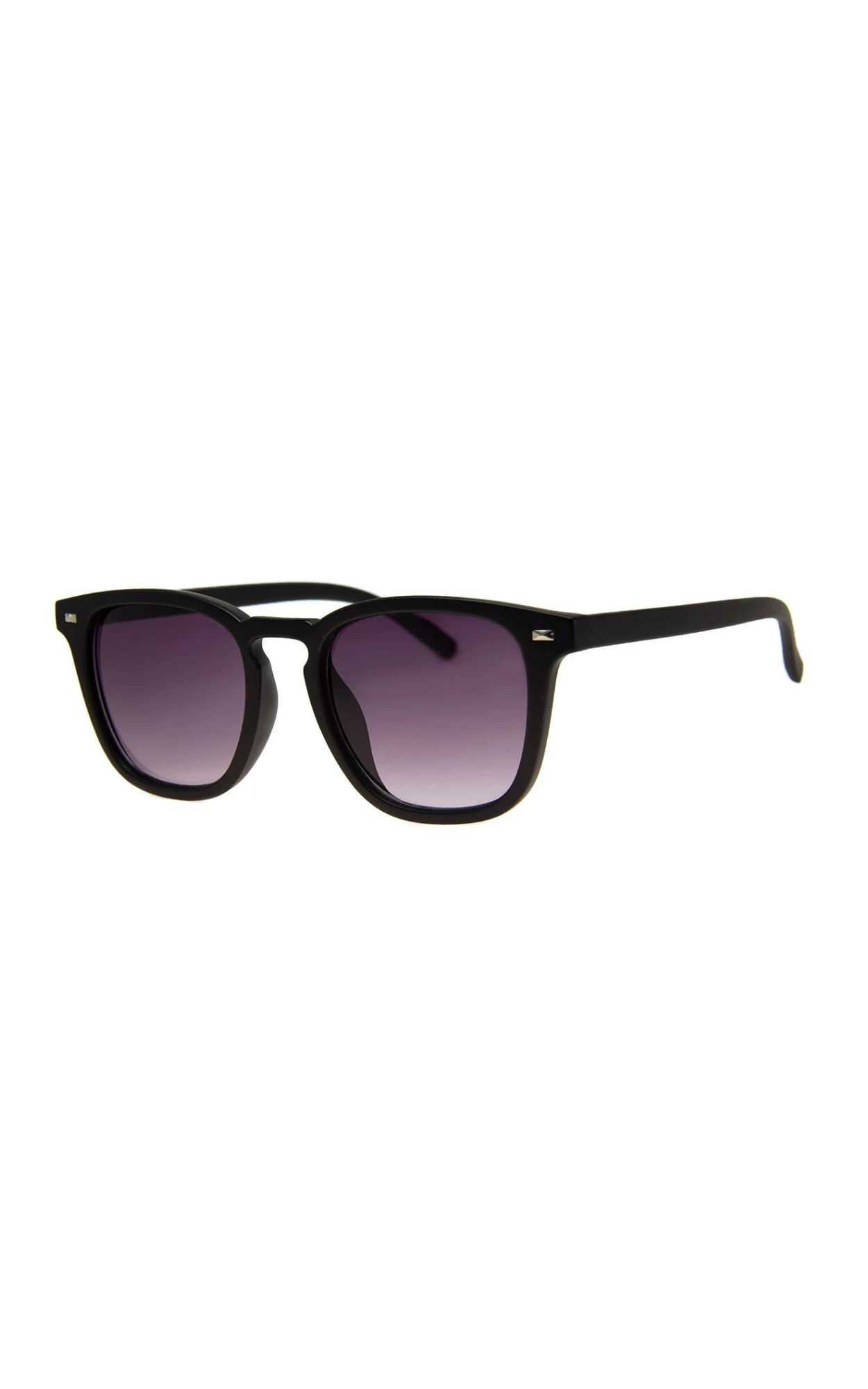 Census Taker Sunglasses - Proper