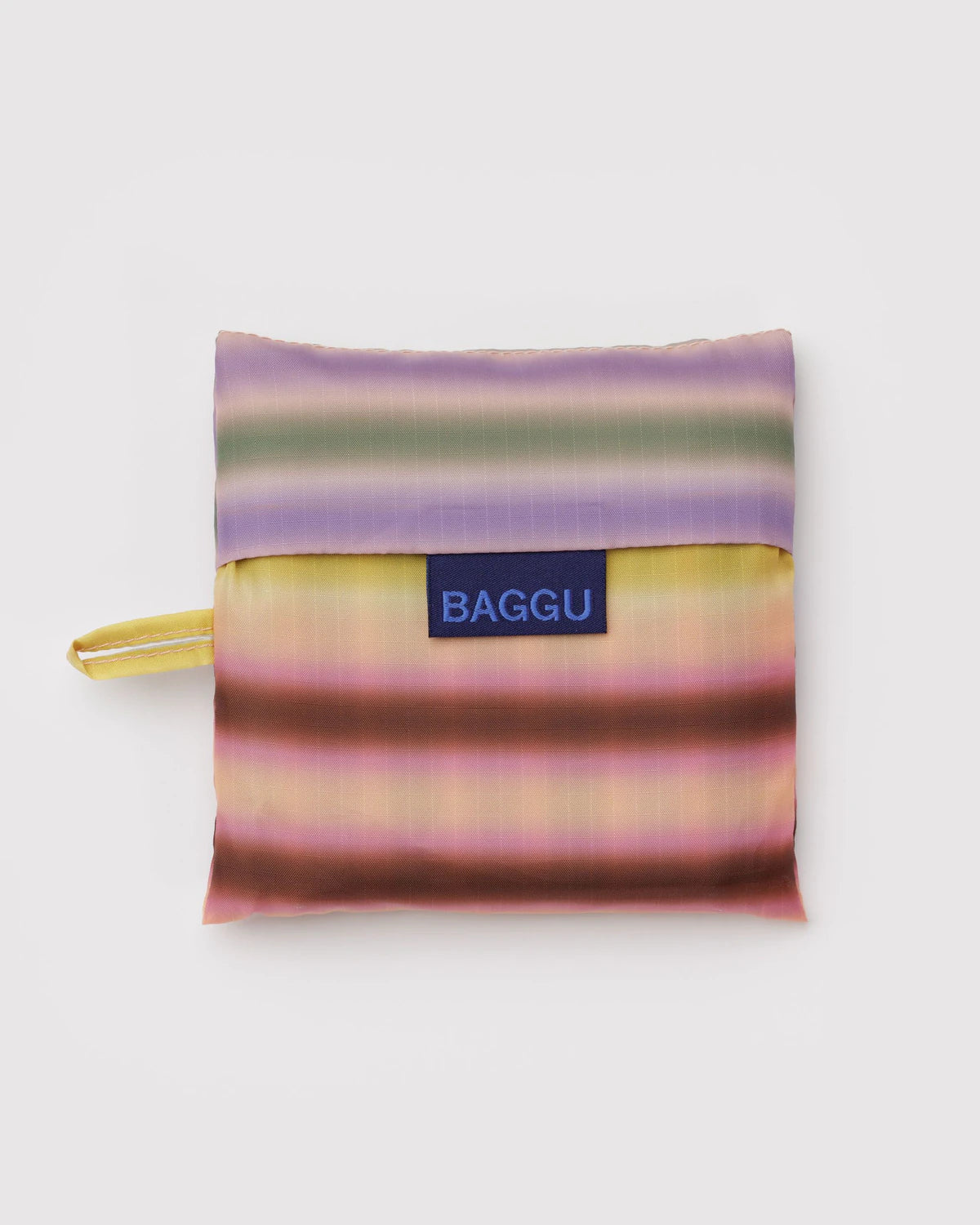 Standard Baggu - Gradient Stripe Multi - Proper