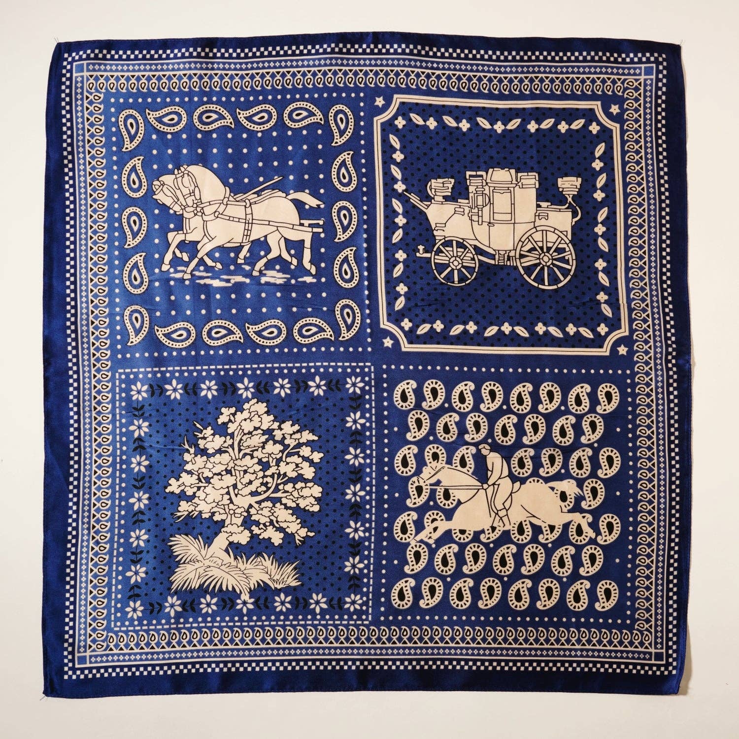 Western-Inspired Paisley Print Scarf - Proper