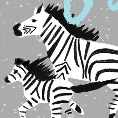 Zebra Moment - Baby Card - Proper