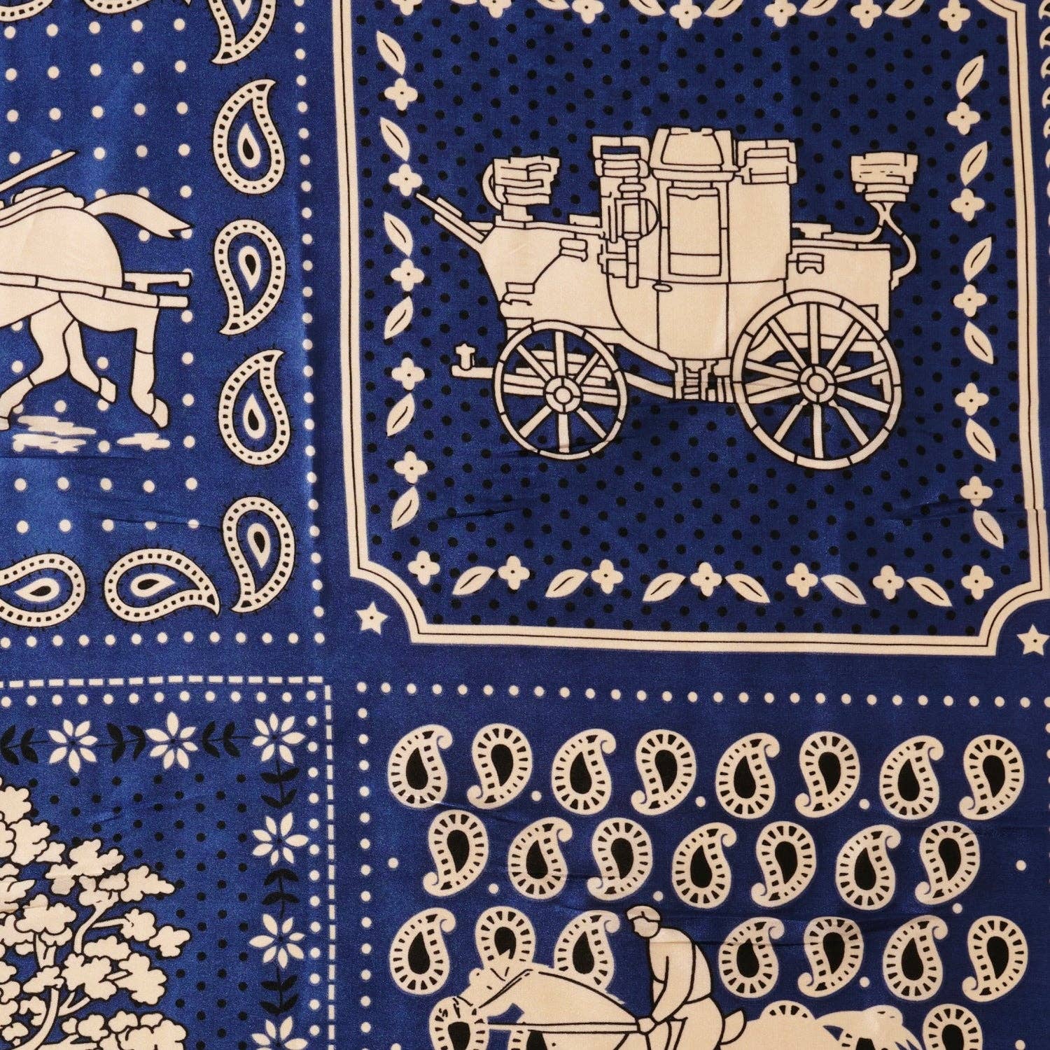 Western-Inspired Paisley Print Scarf - Proper