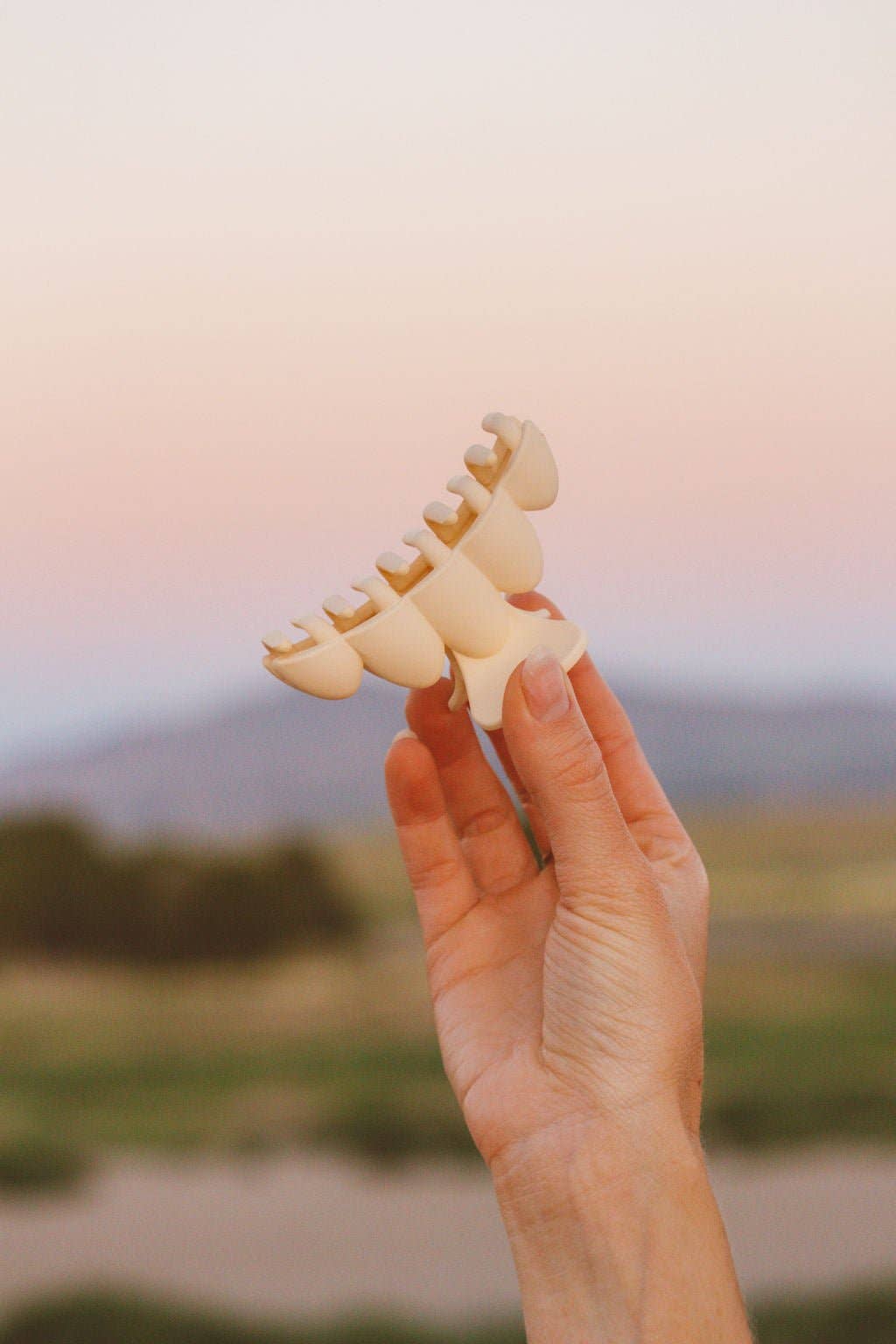 Scalloped Matte Claw Clip - Proper