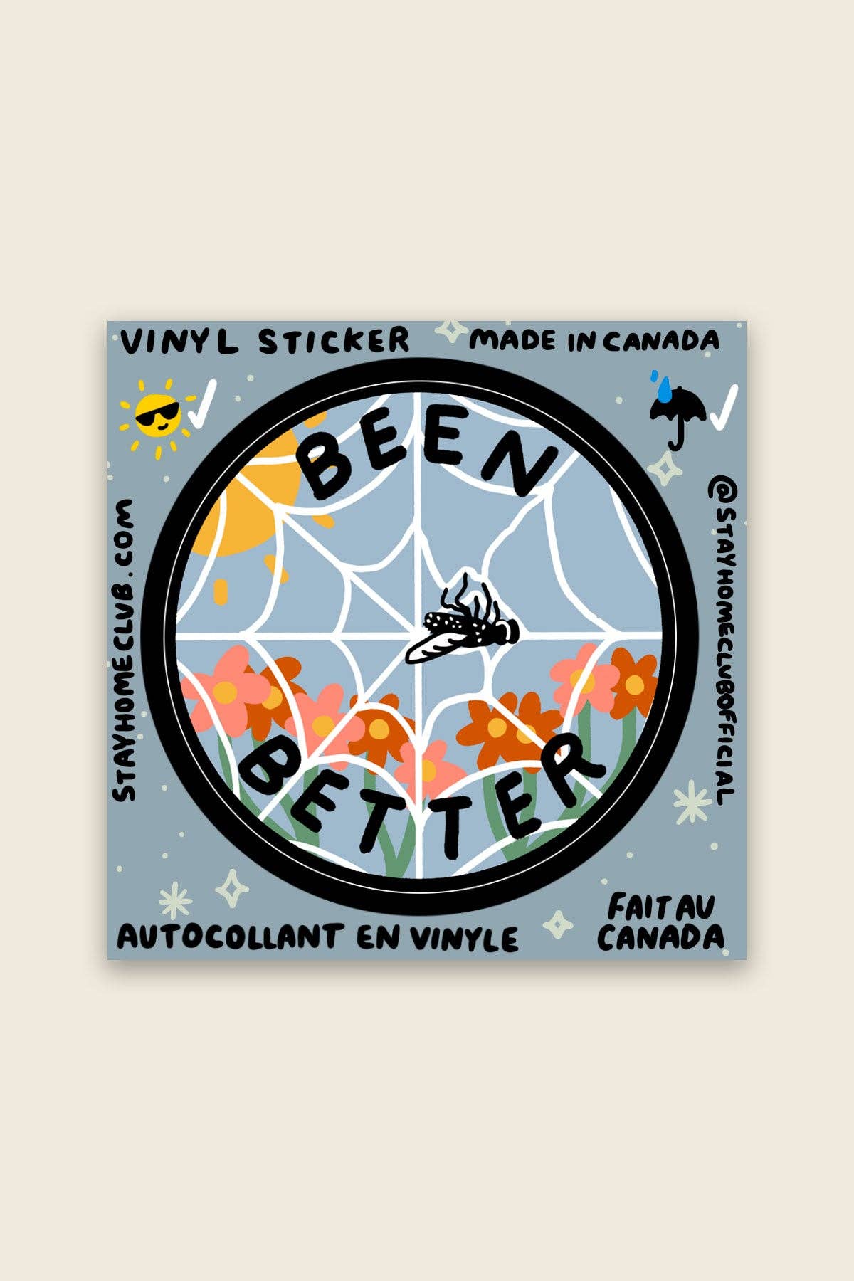 Been Better (Spiderweb) | Waterproof Vinyl Sticker - Proper