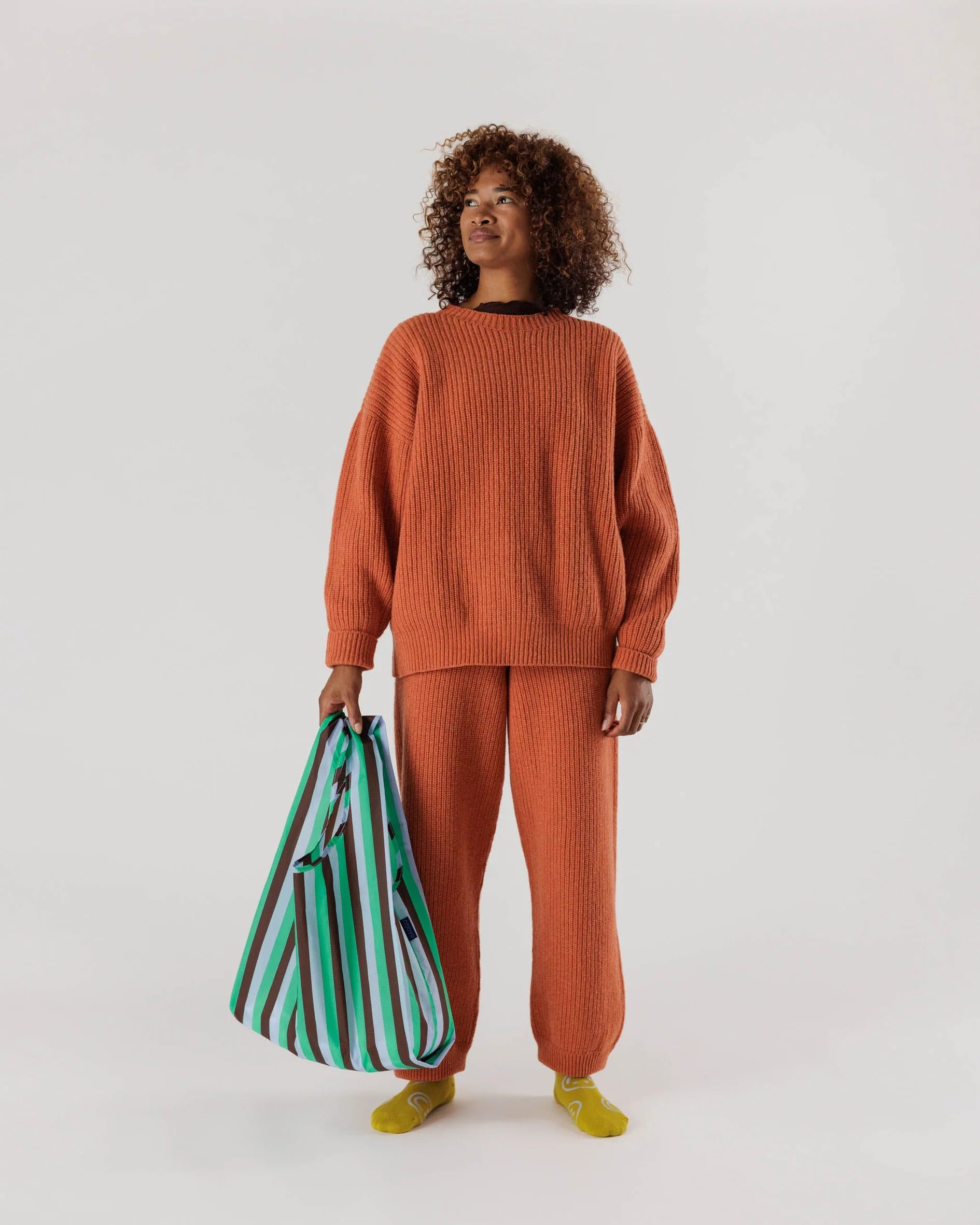 Standard Baggu - Mint 90's Stripe - Proper