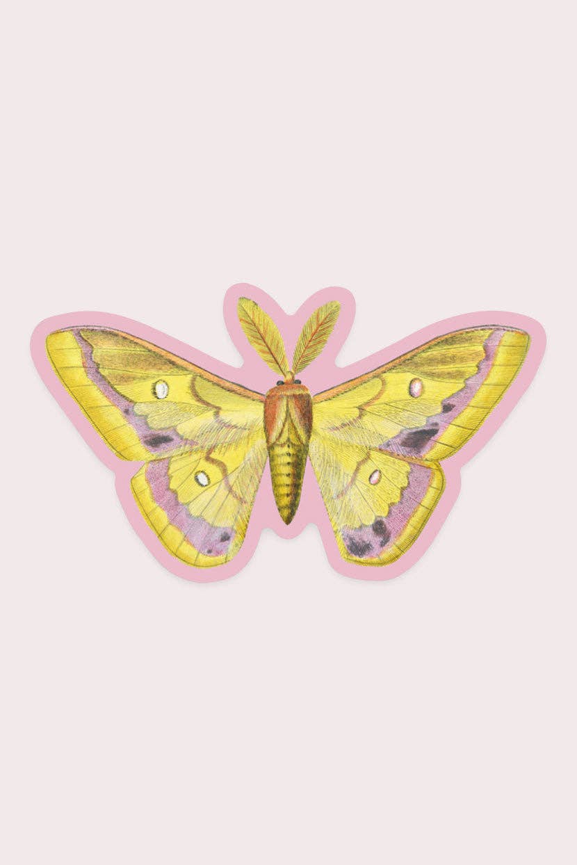 Splendid Moth - Gap Filler Sticker - Proper
