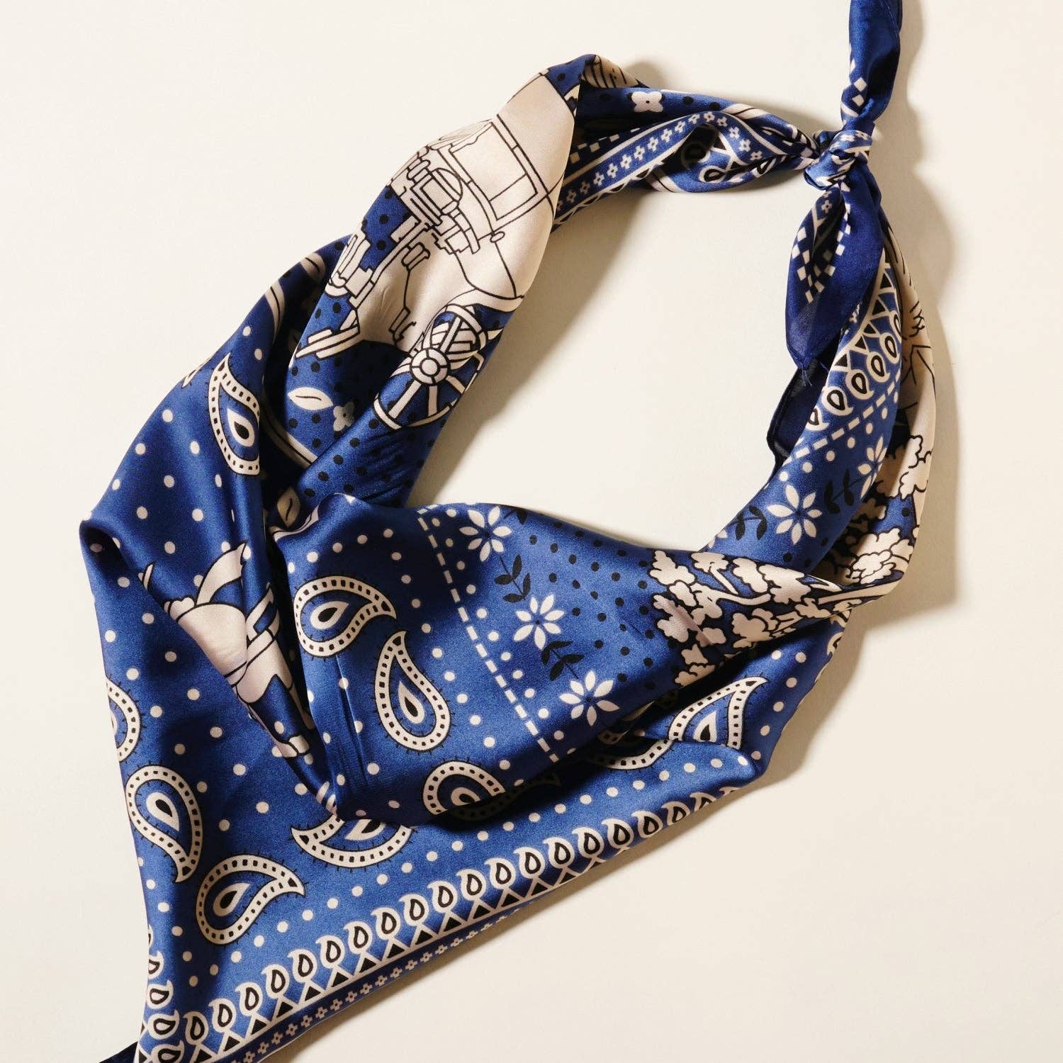 Western-Inspired Paisley Print Scarf - Proper