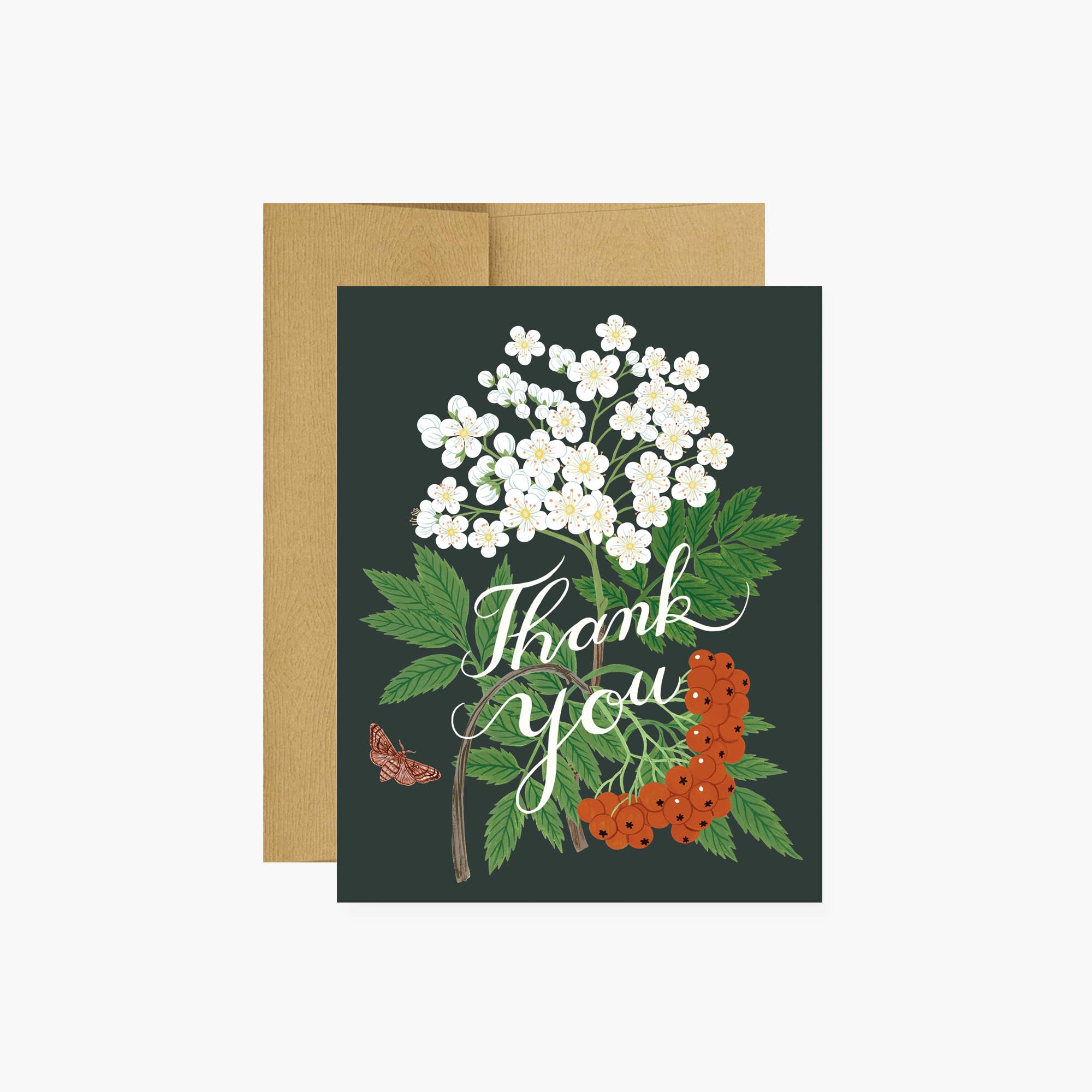 Mountain Ash - Thank You Card - Proper